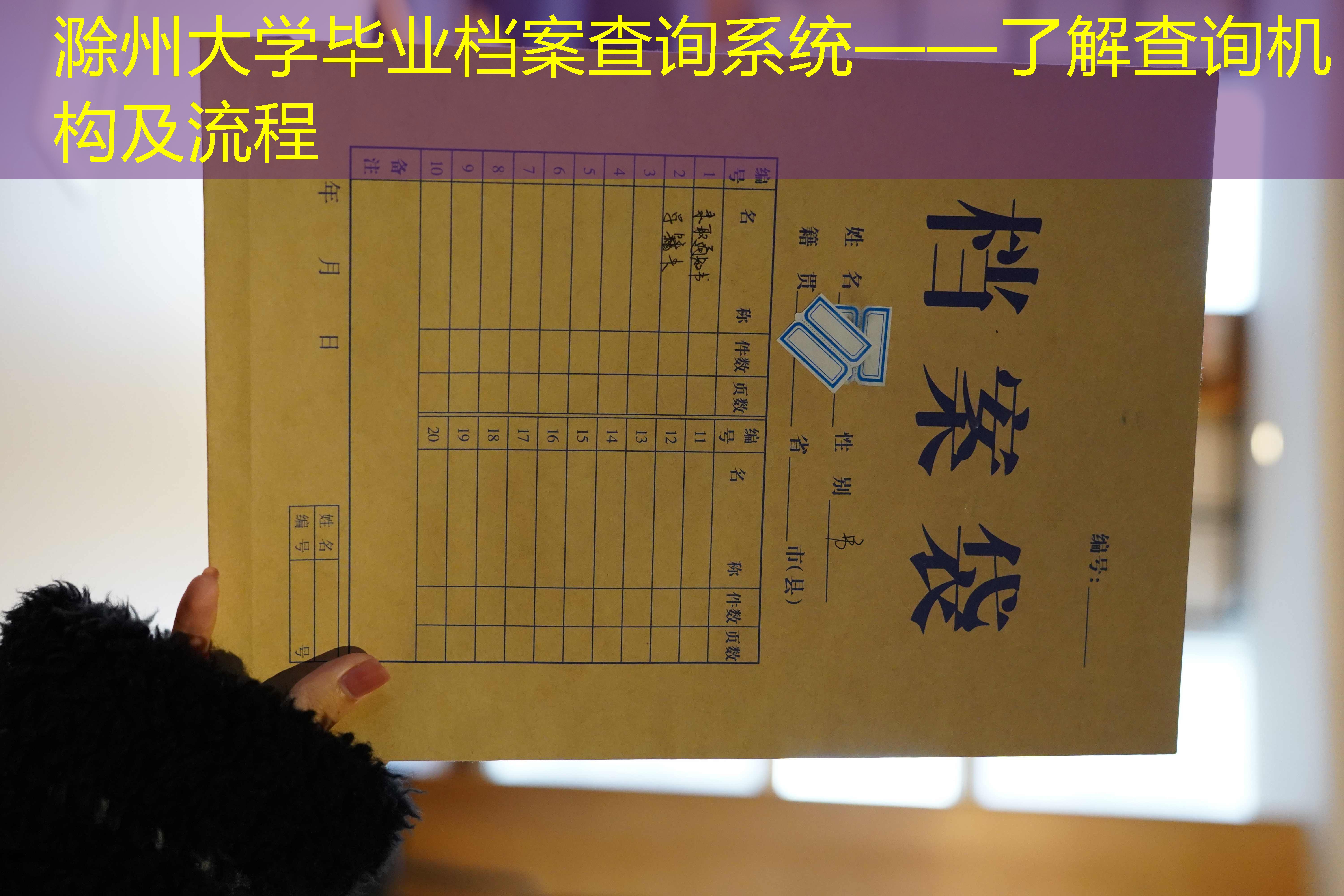 档案查询