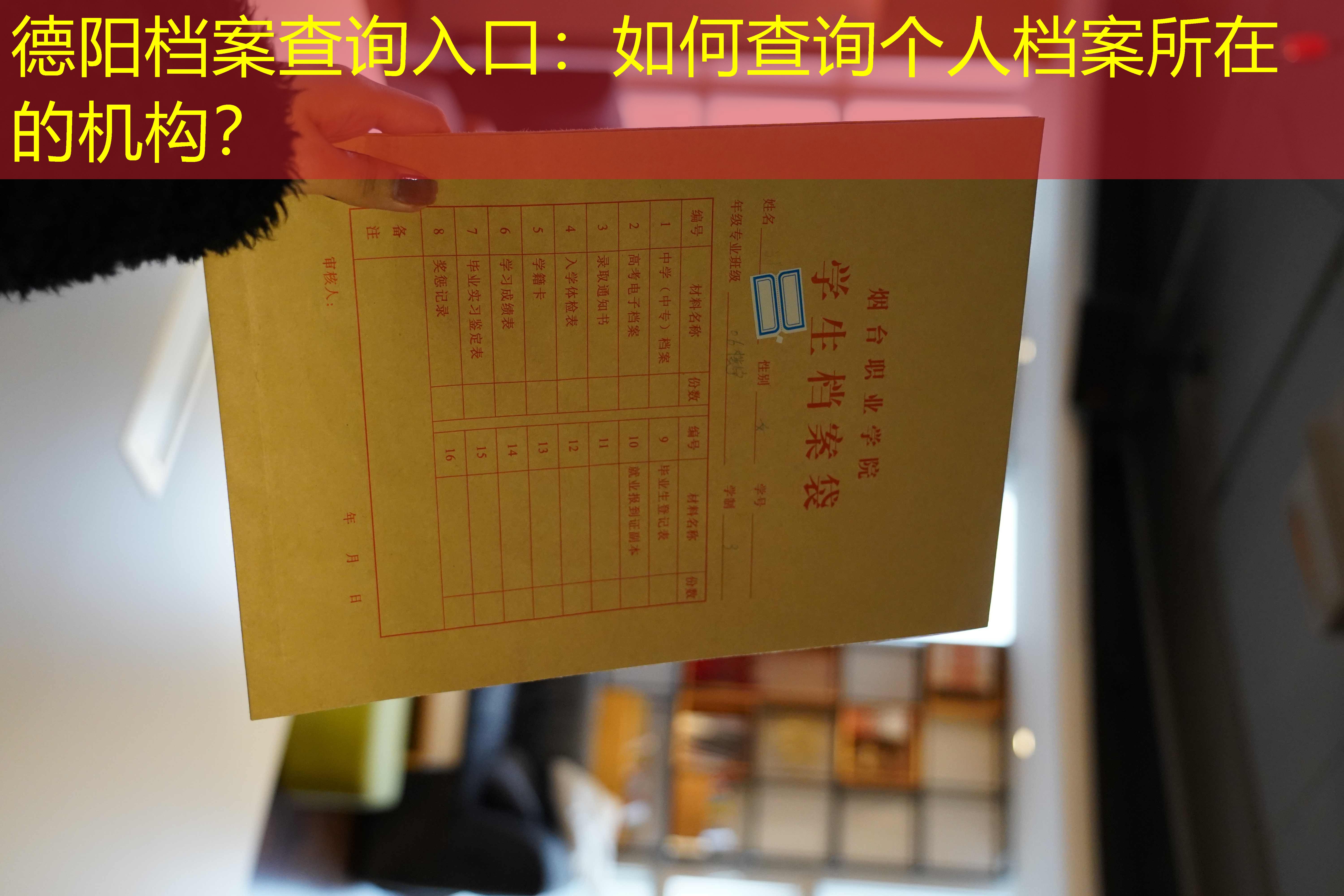 档案查询