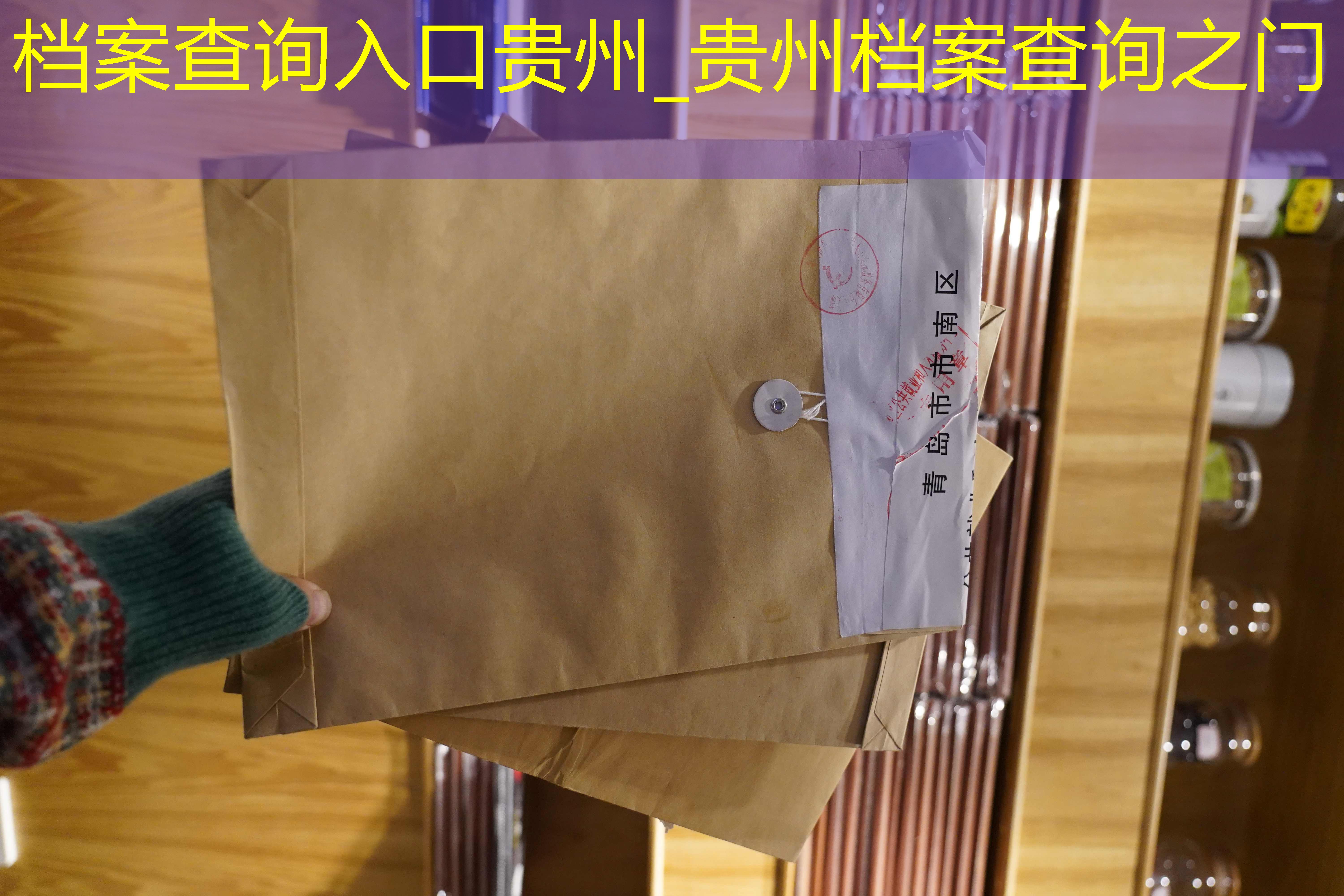 档案查询
