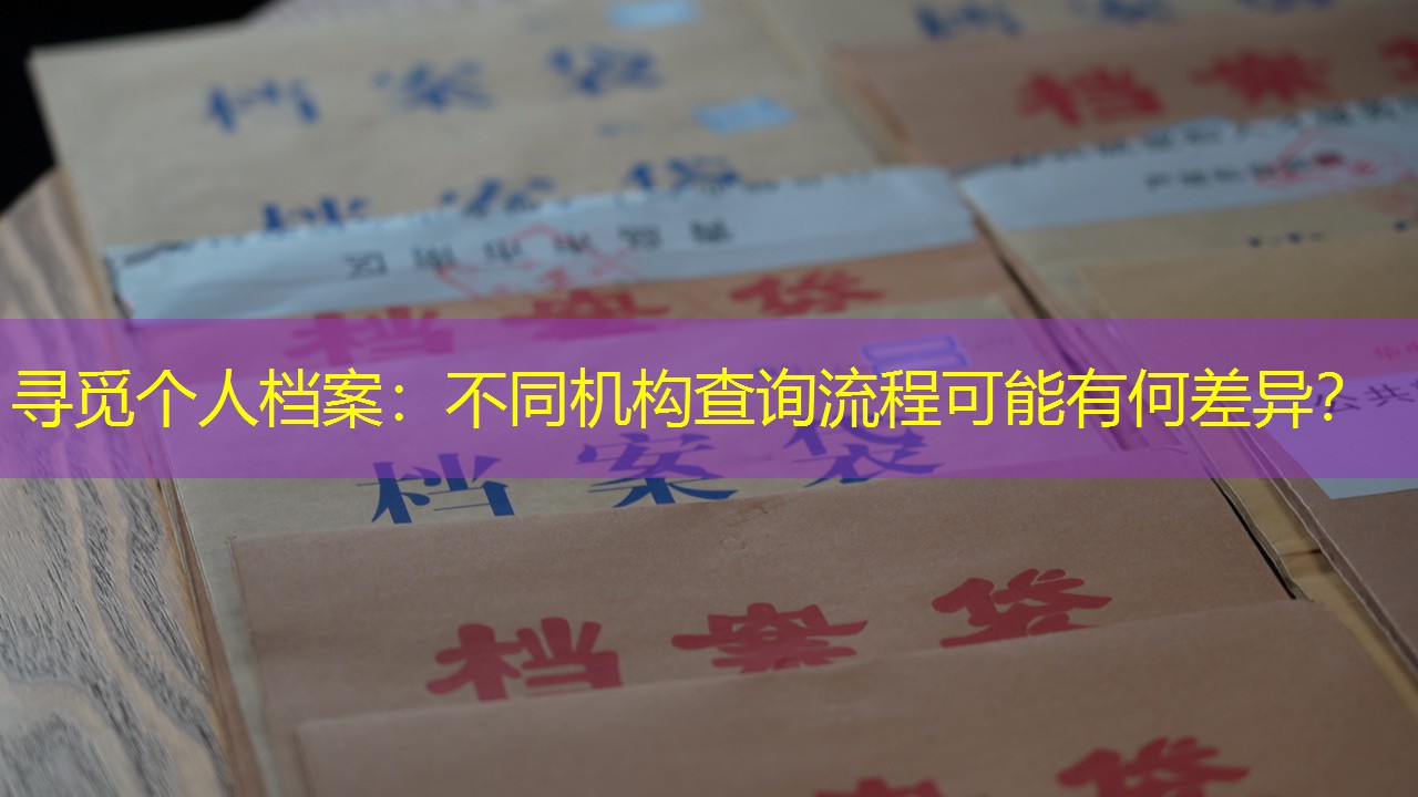 档案查询