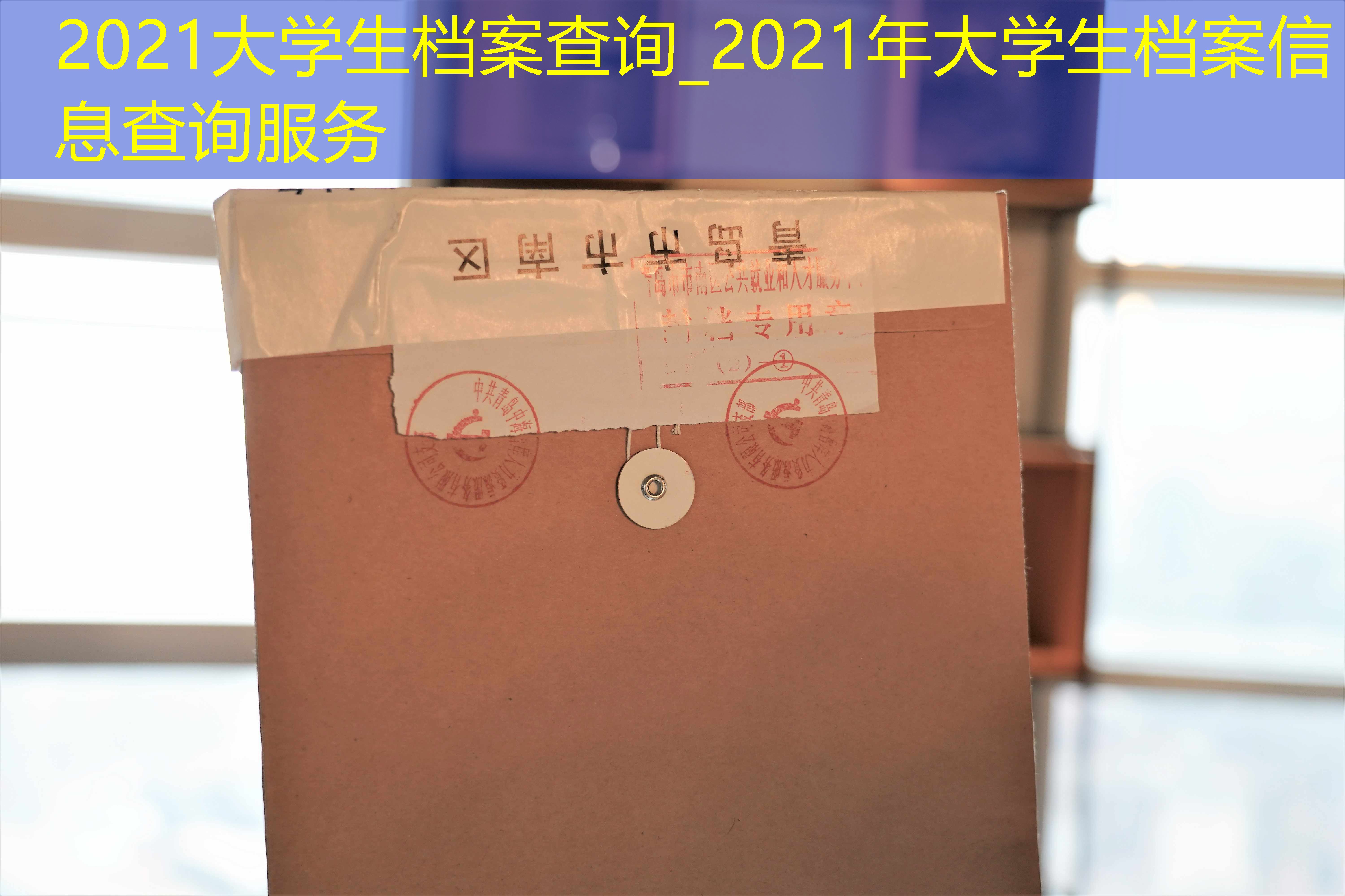 档案查询