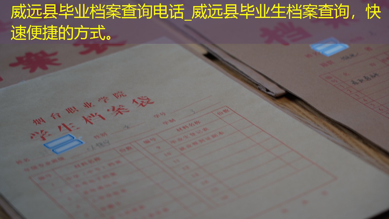 档案查询