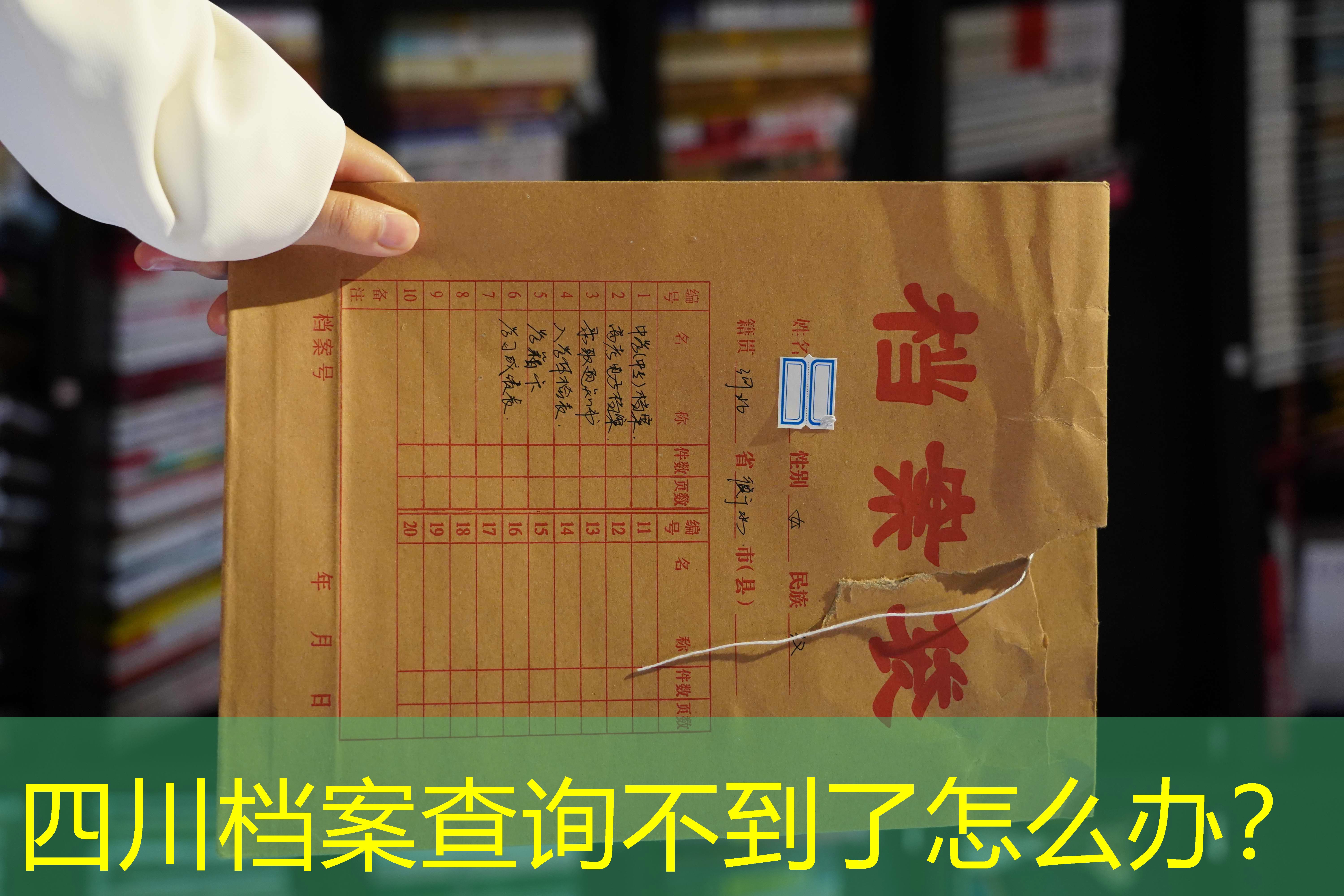 档案查询