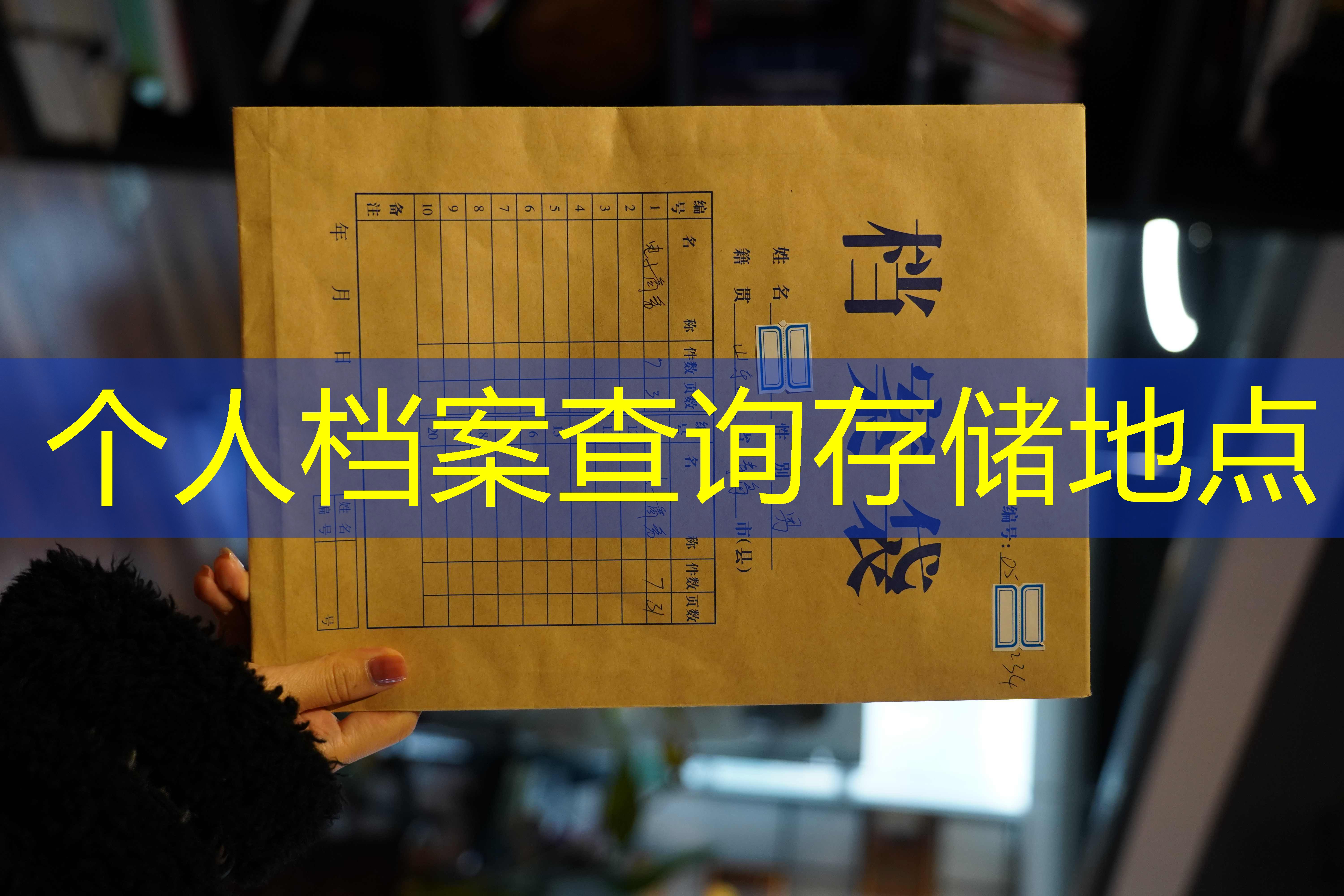 档案查询