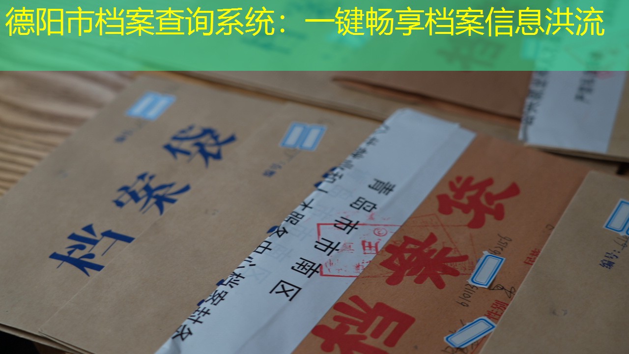 档案查询