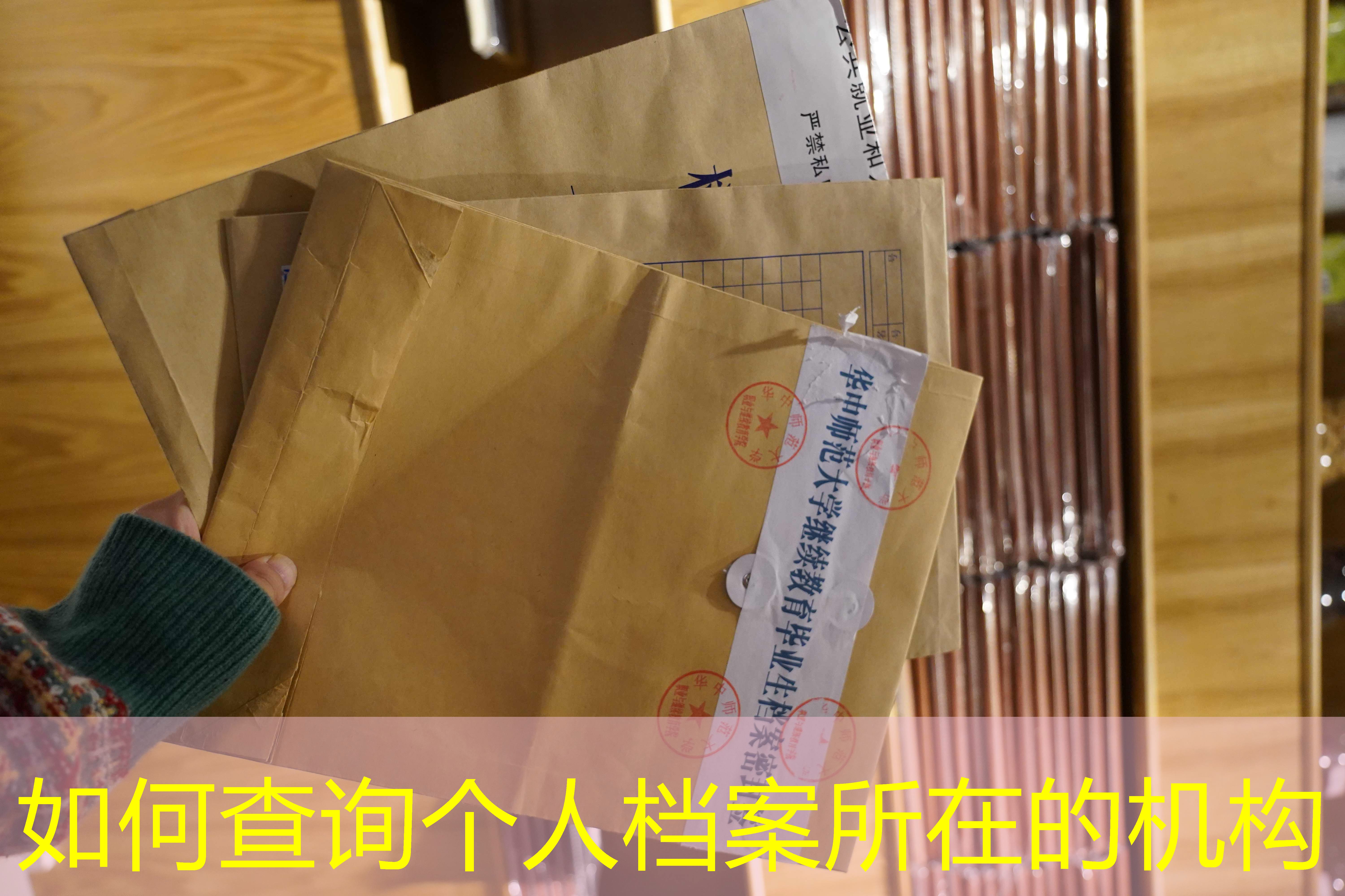 档案查询