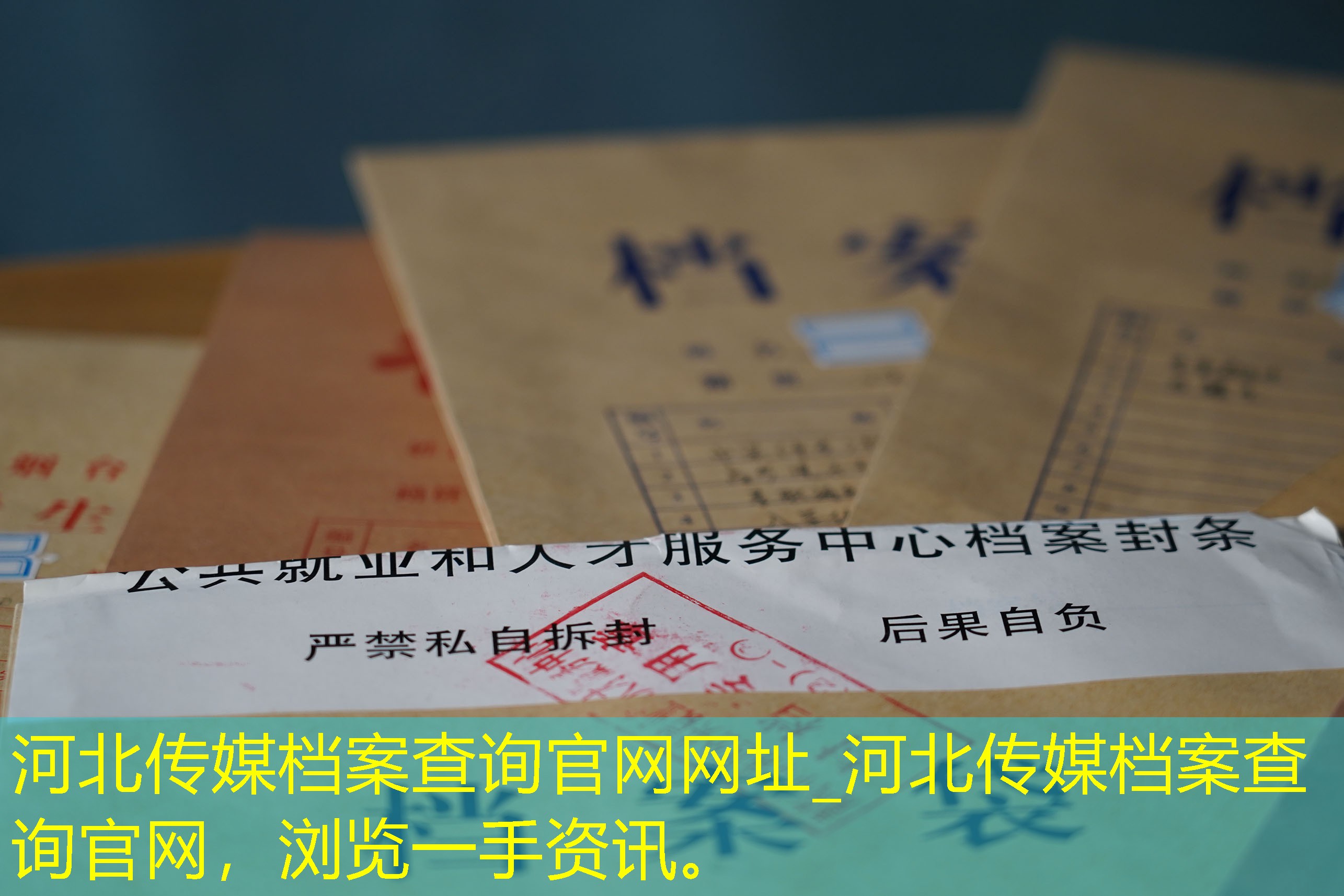 档案查询