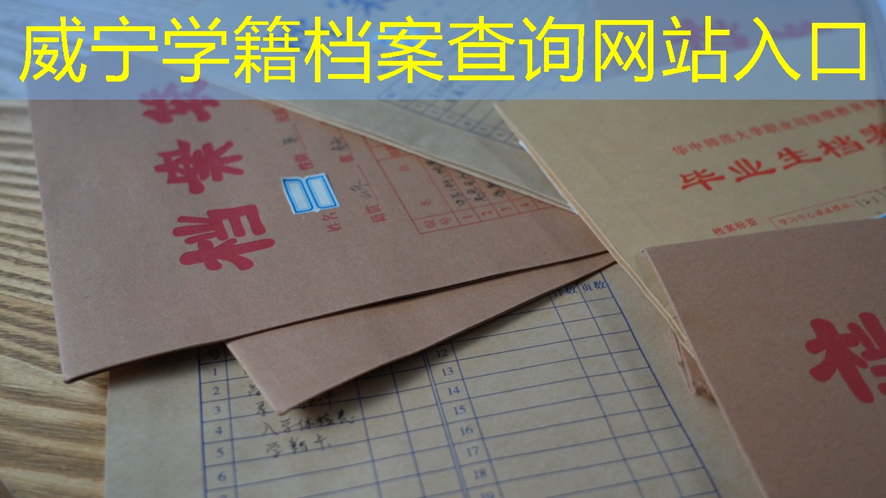 档案查询