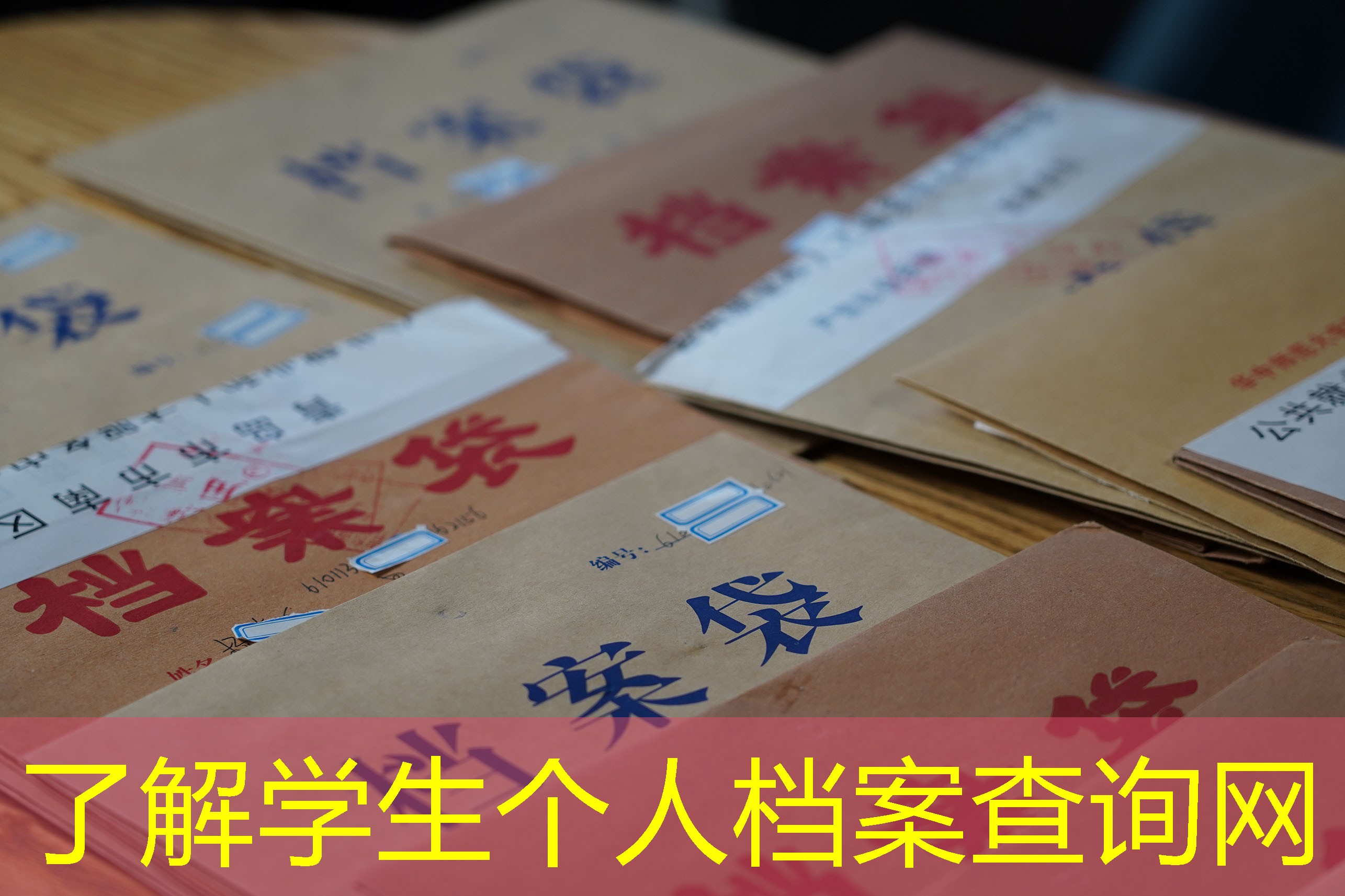 档案查询