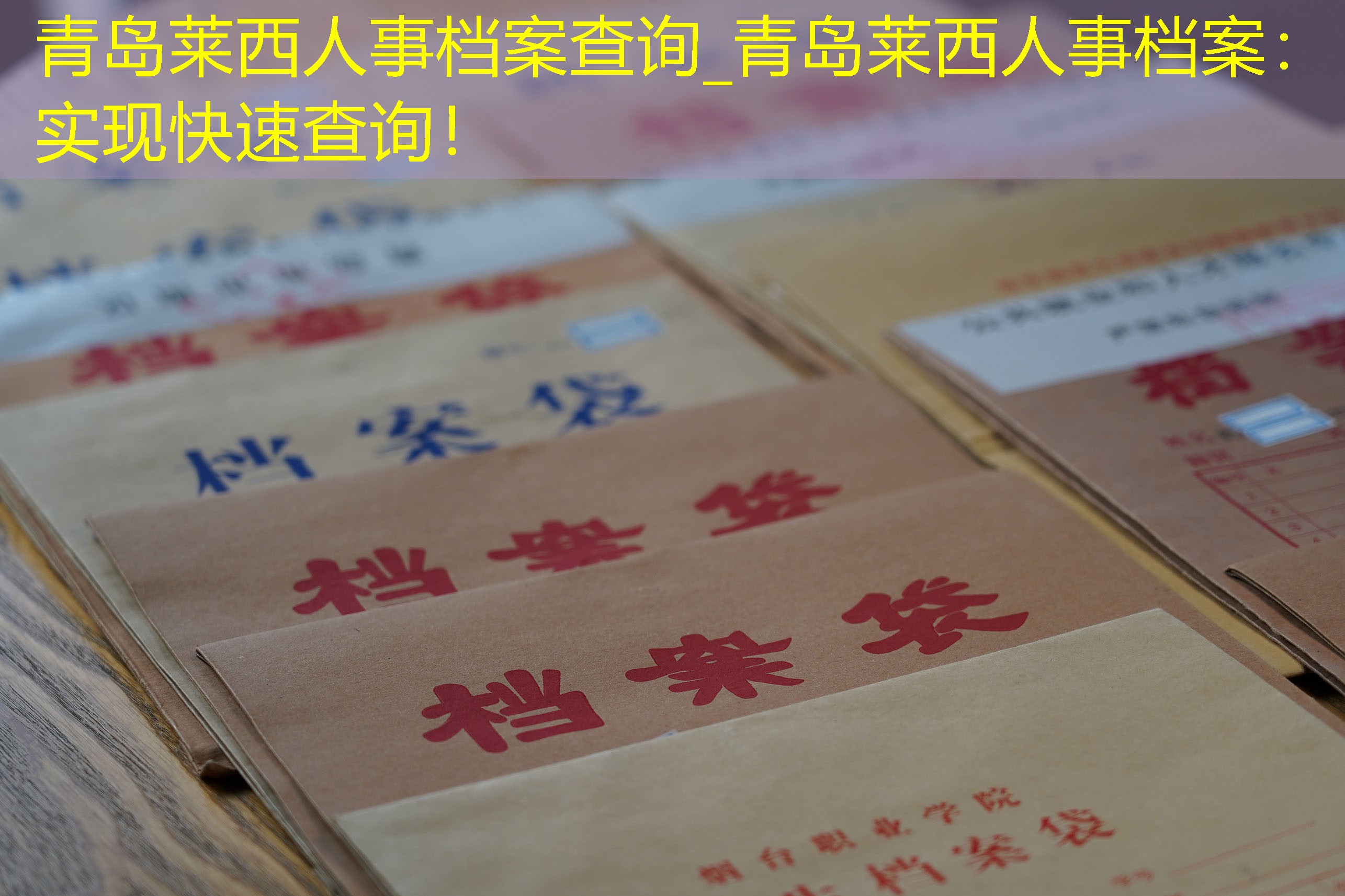 档案查询