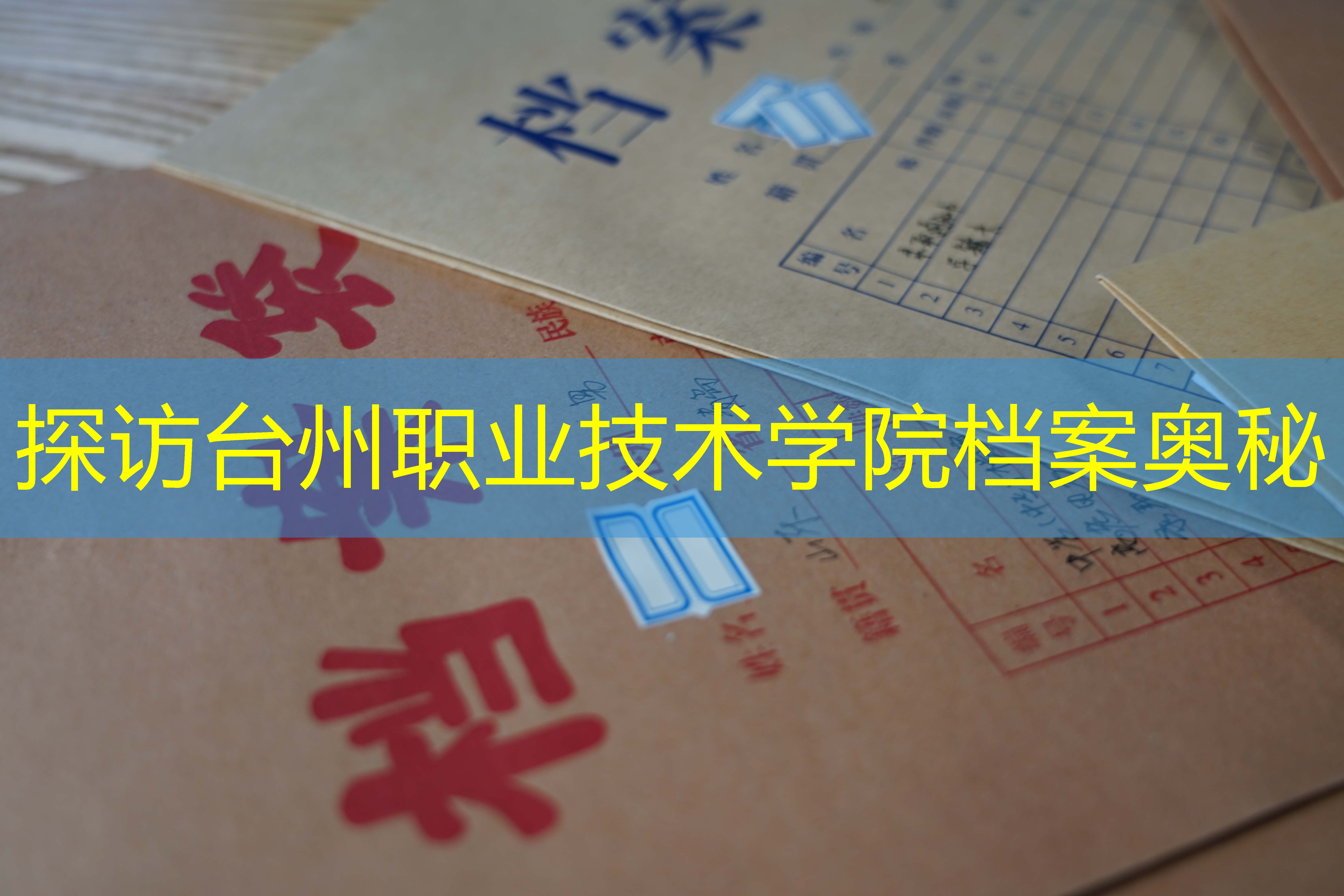 档案查询