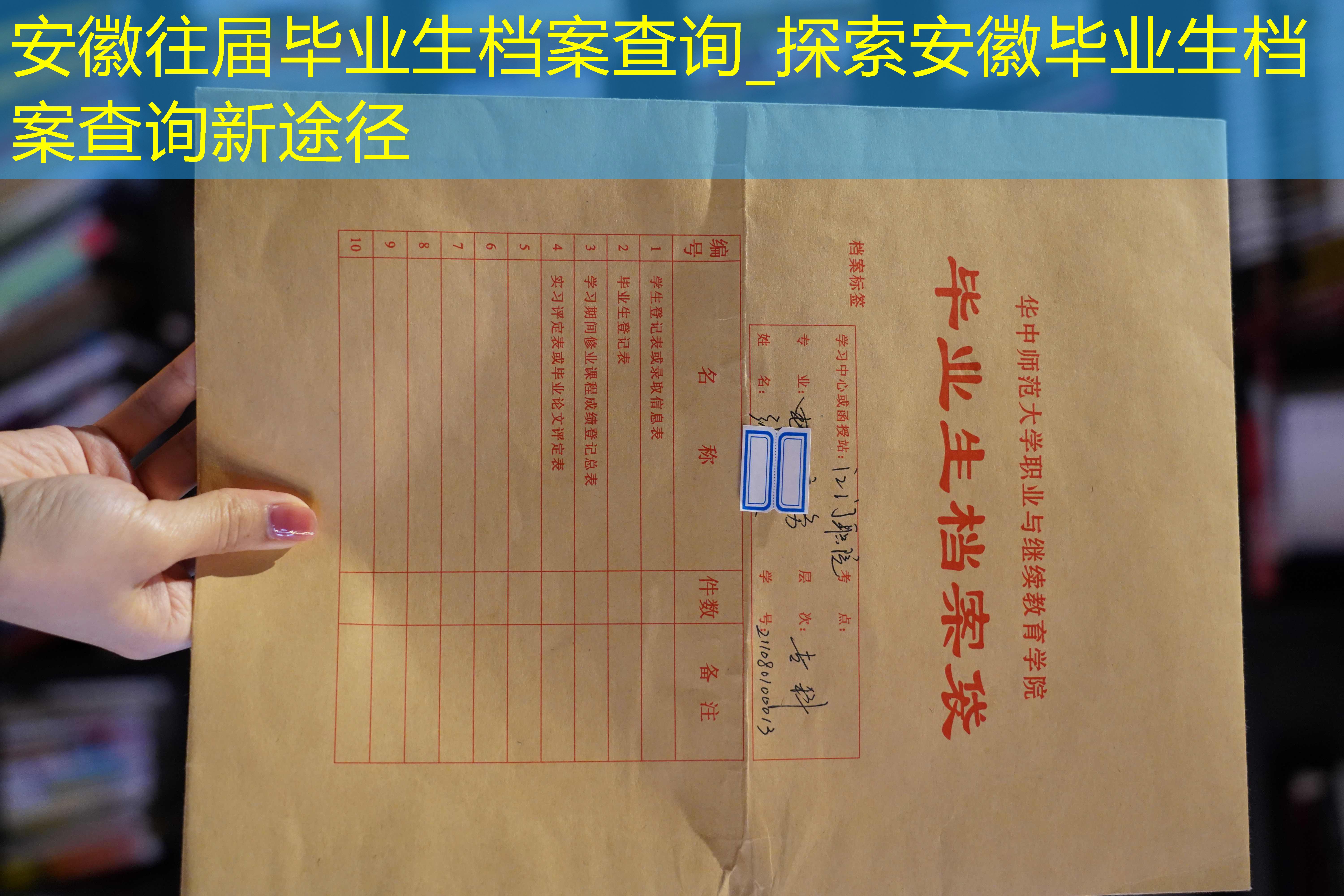 档案查询