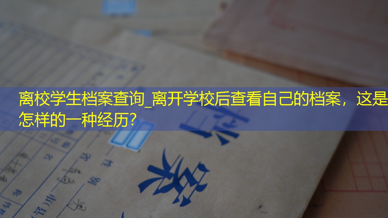 档案查询