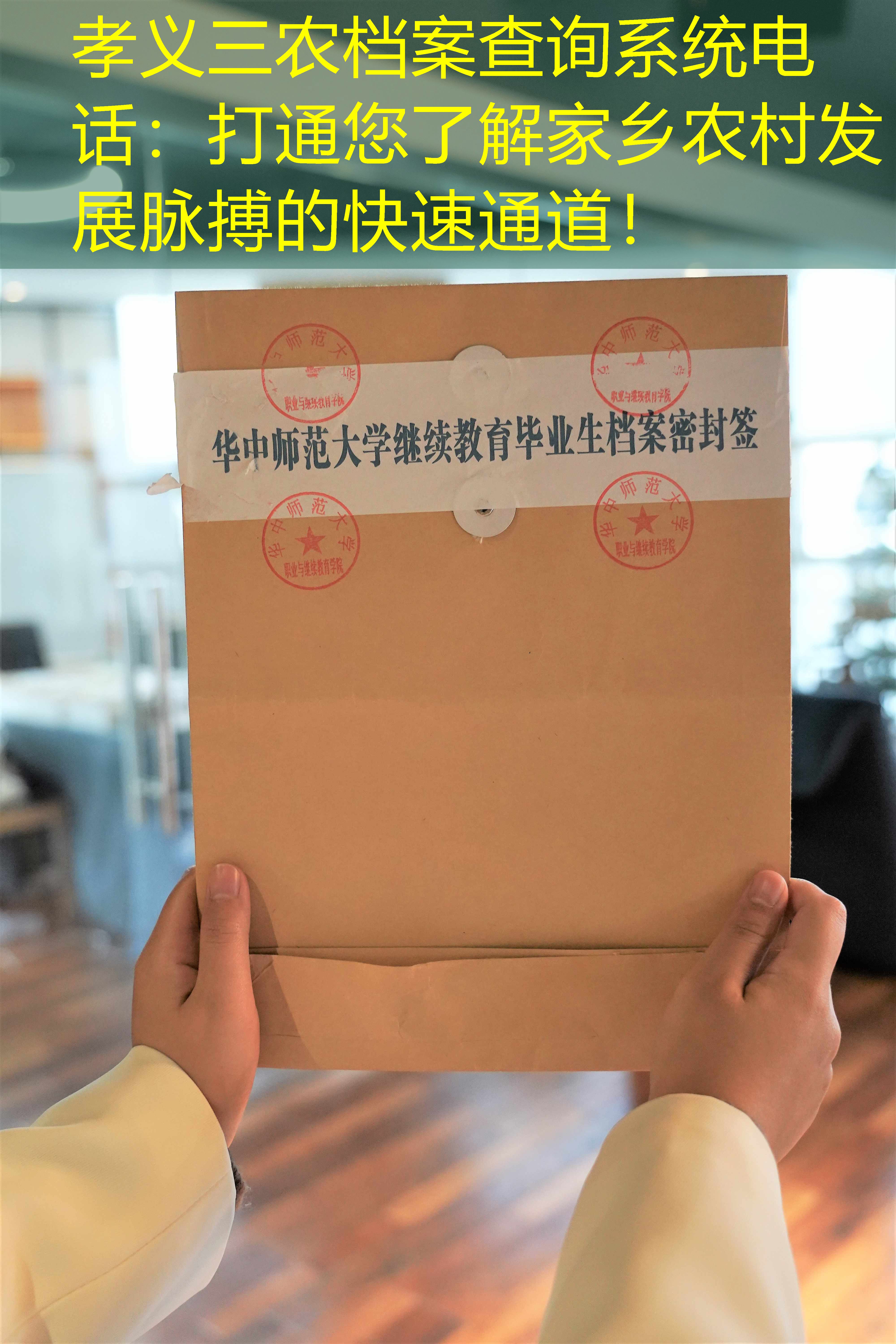 档案查询
