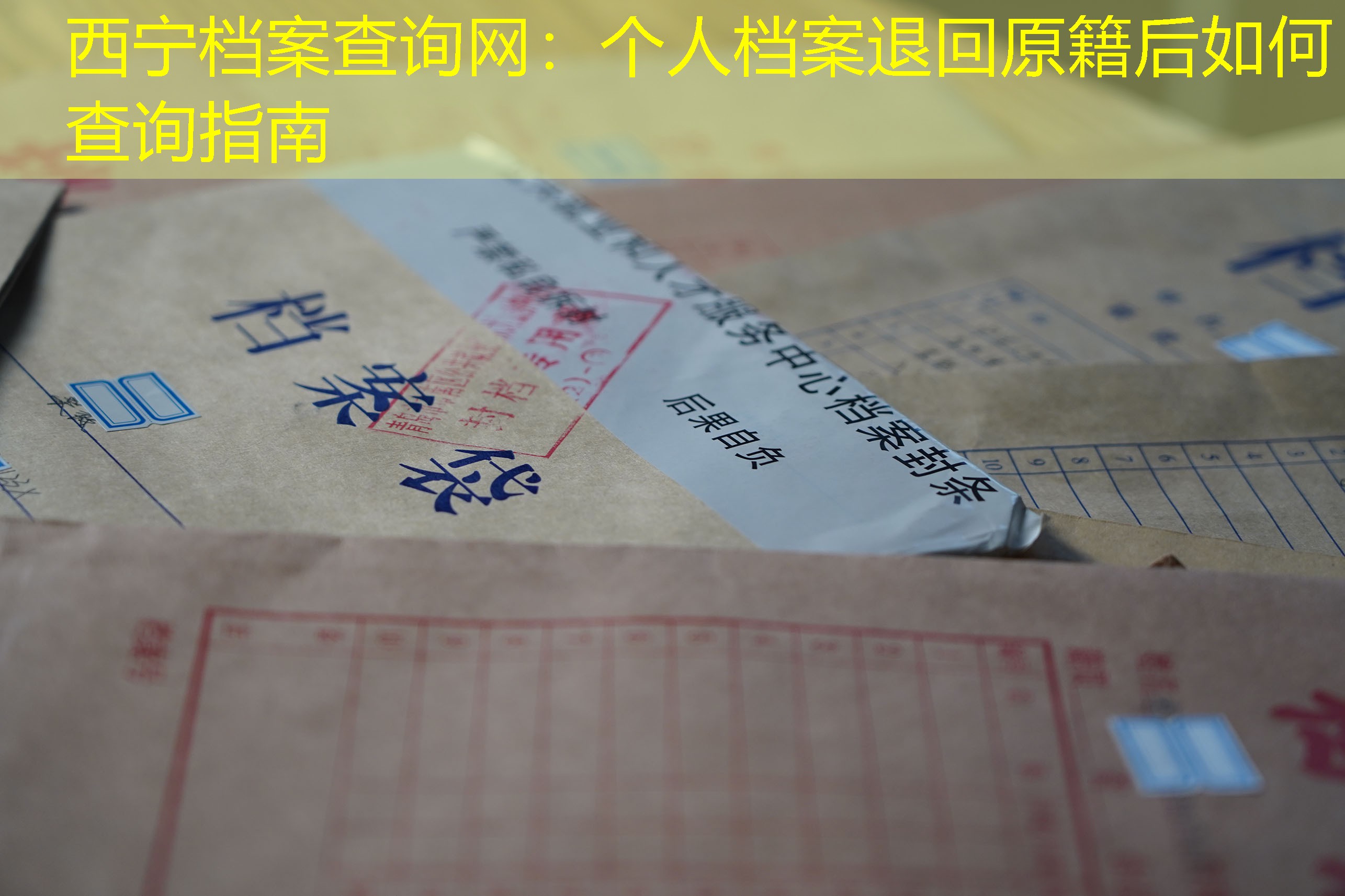 档案查询