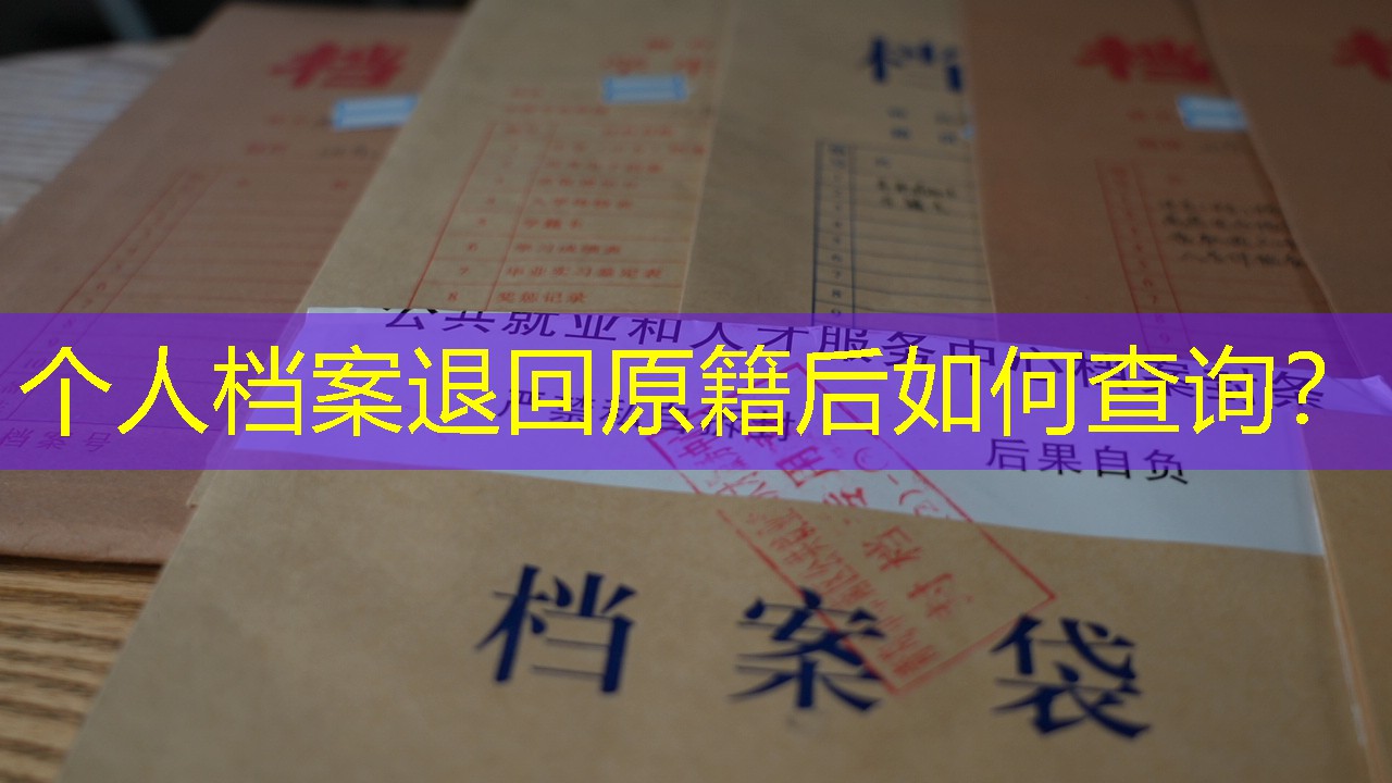 档案查询