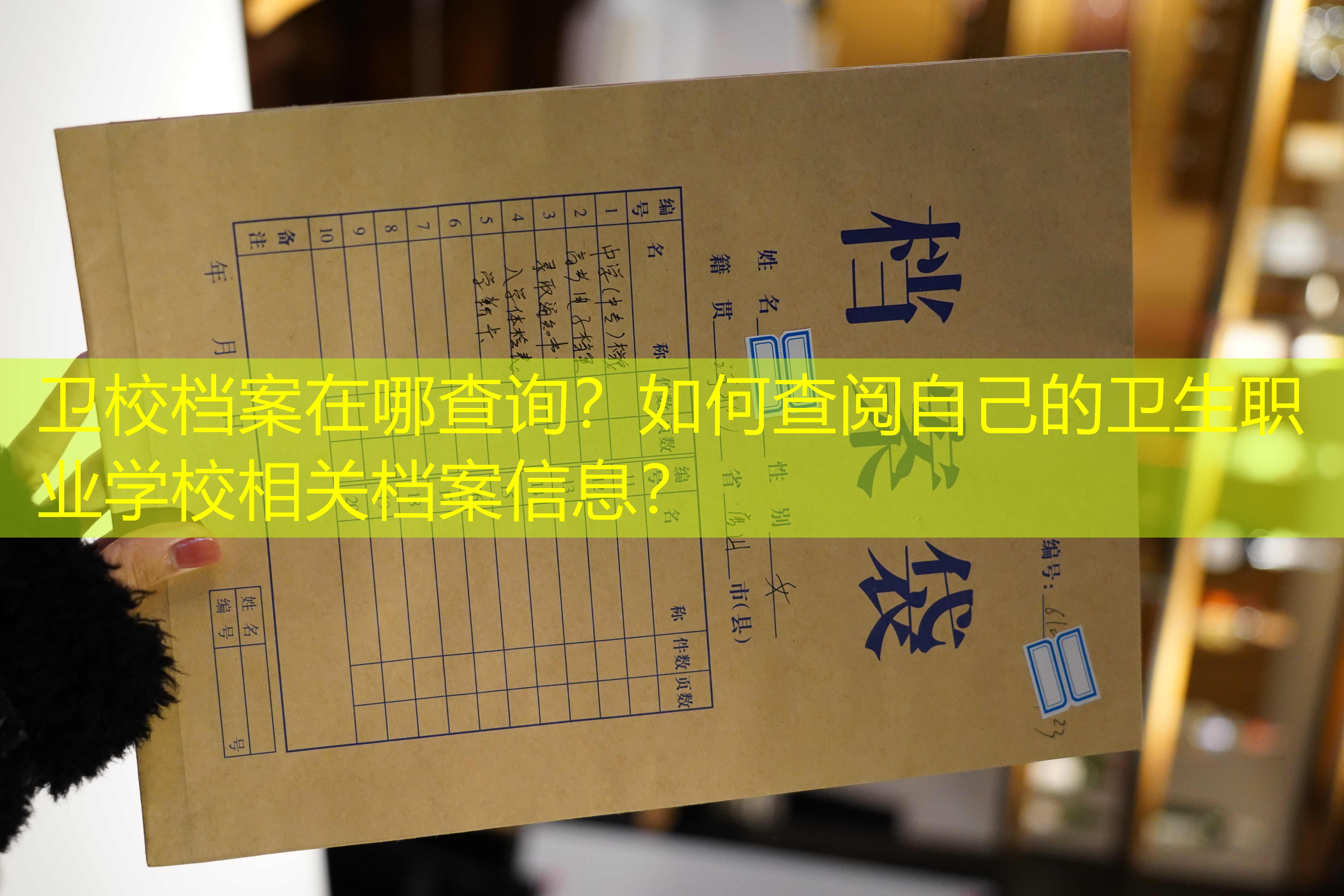 档案查询