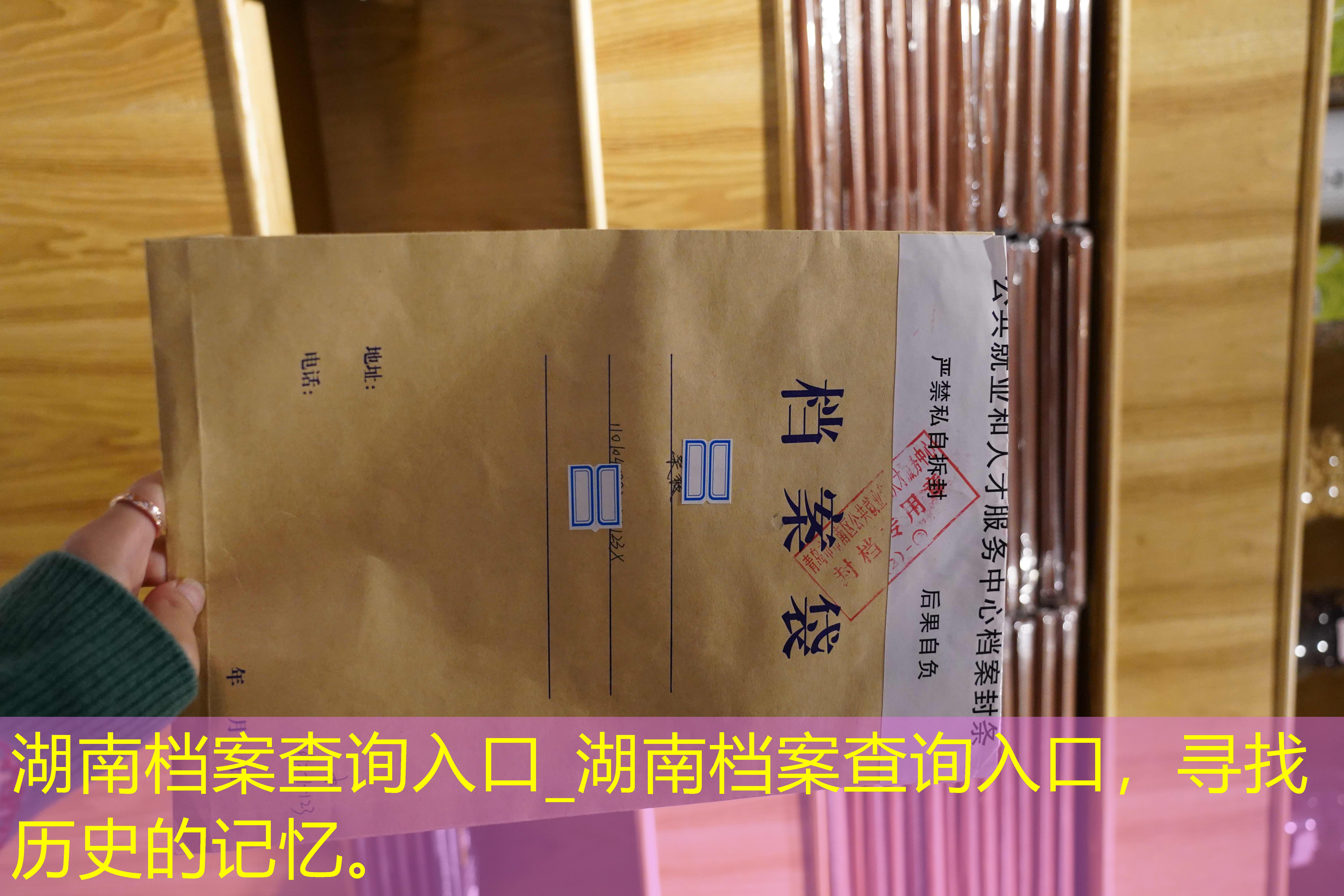 档案查询
