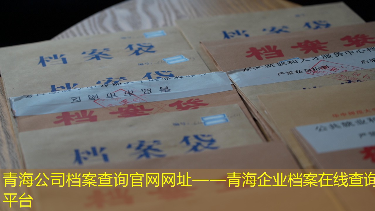 档案查询