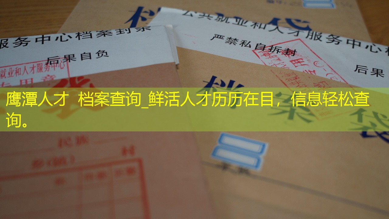 档案查询