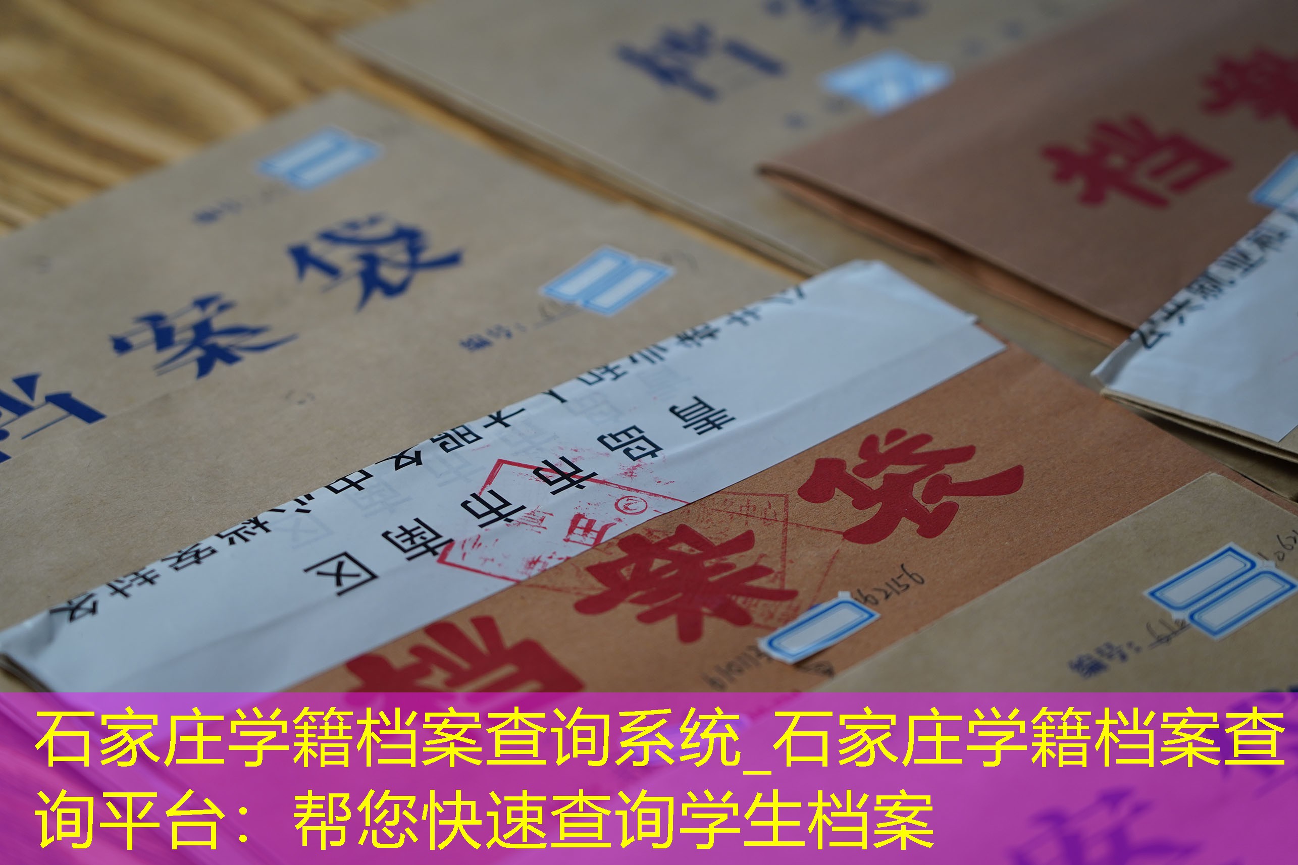 档案查询