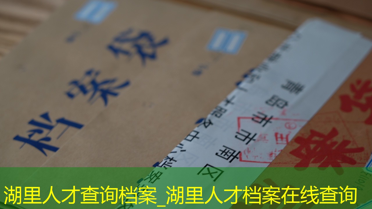 档案查询