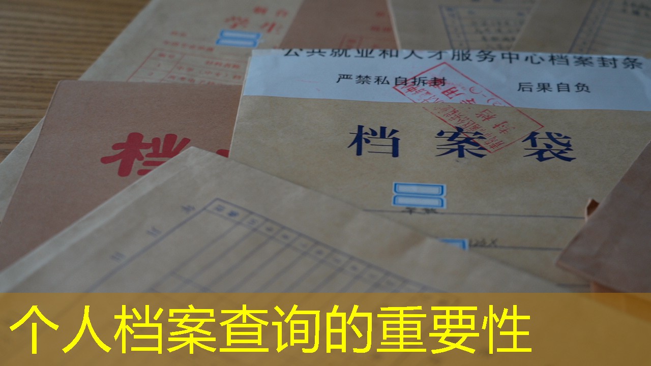 档案查询