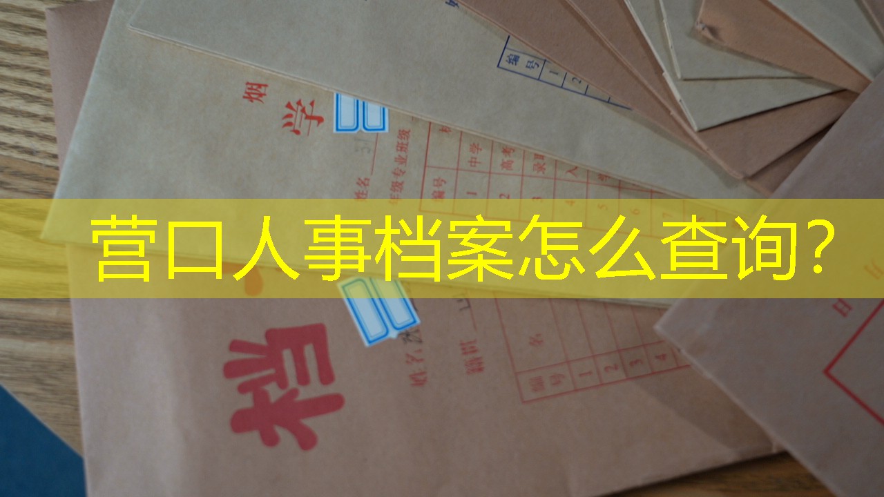 档案查询