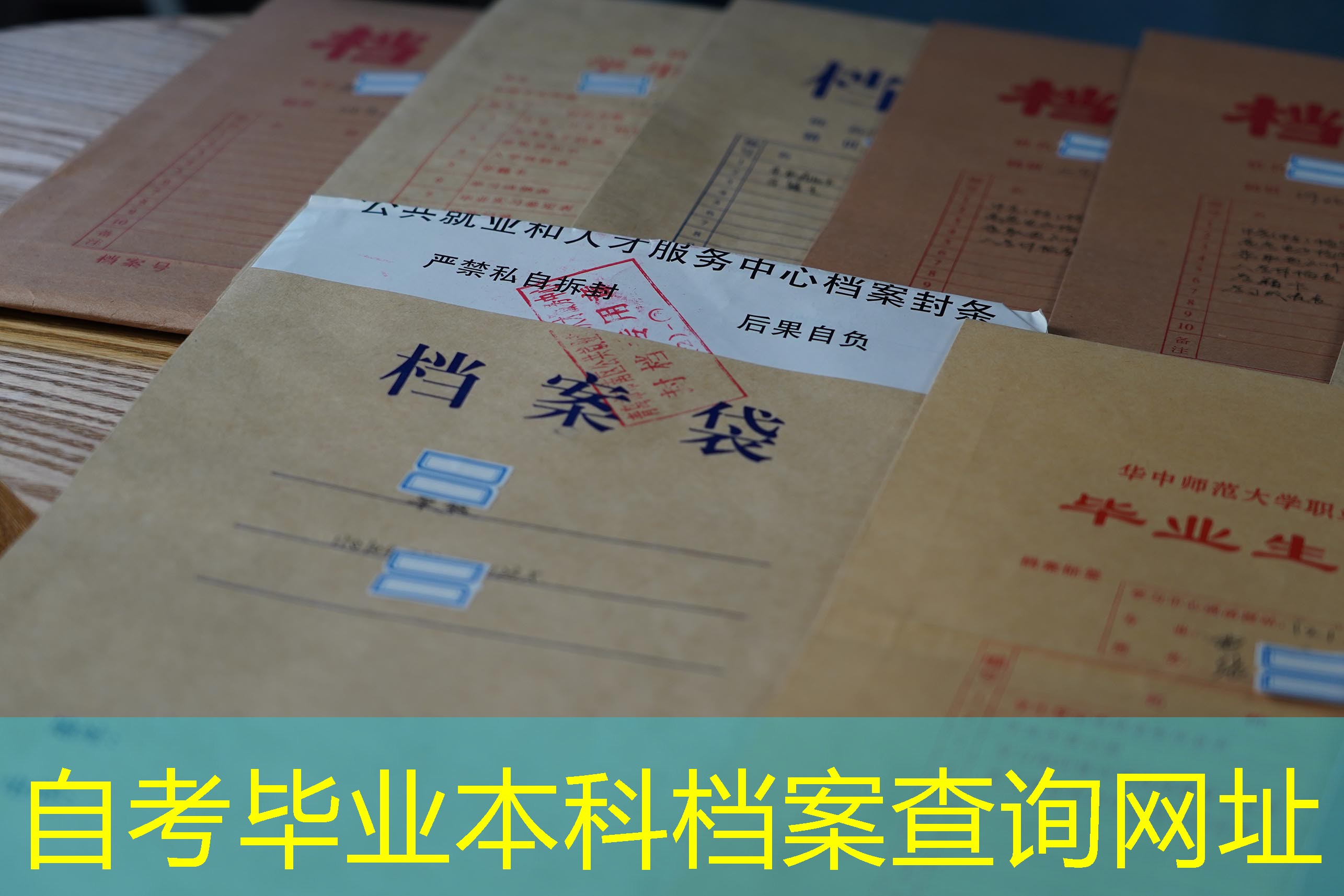 档案查询