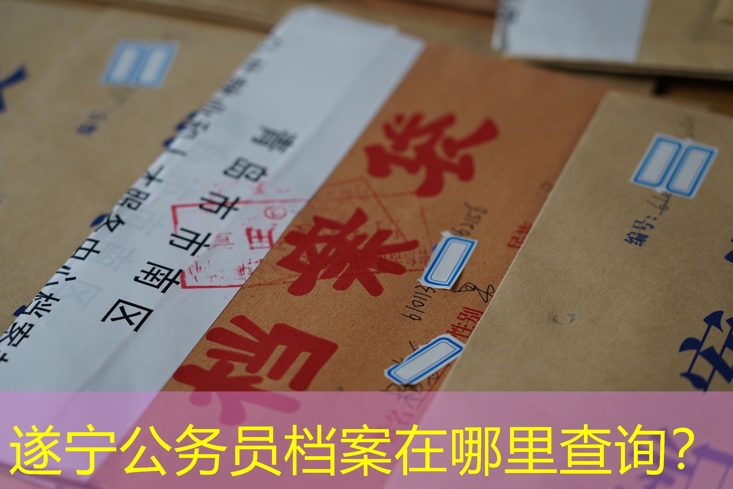档案查询