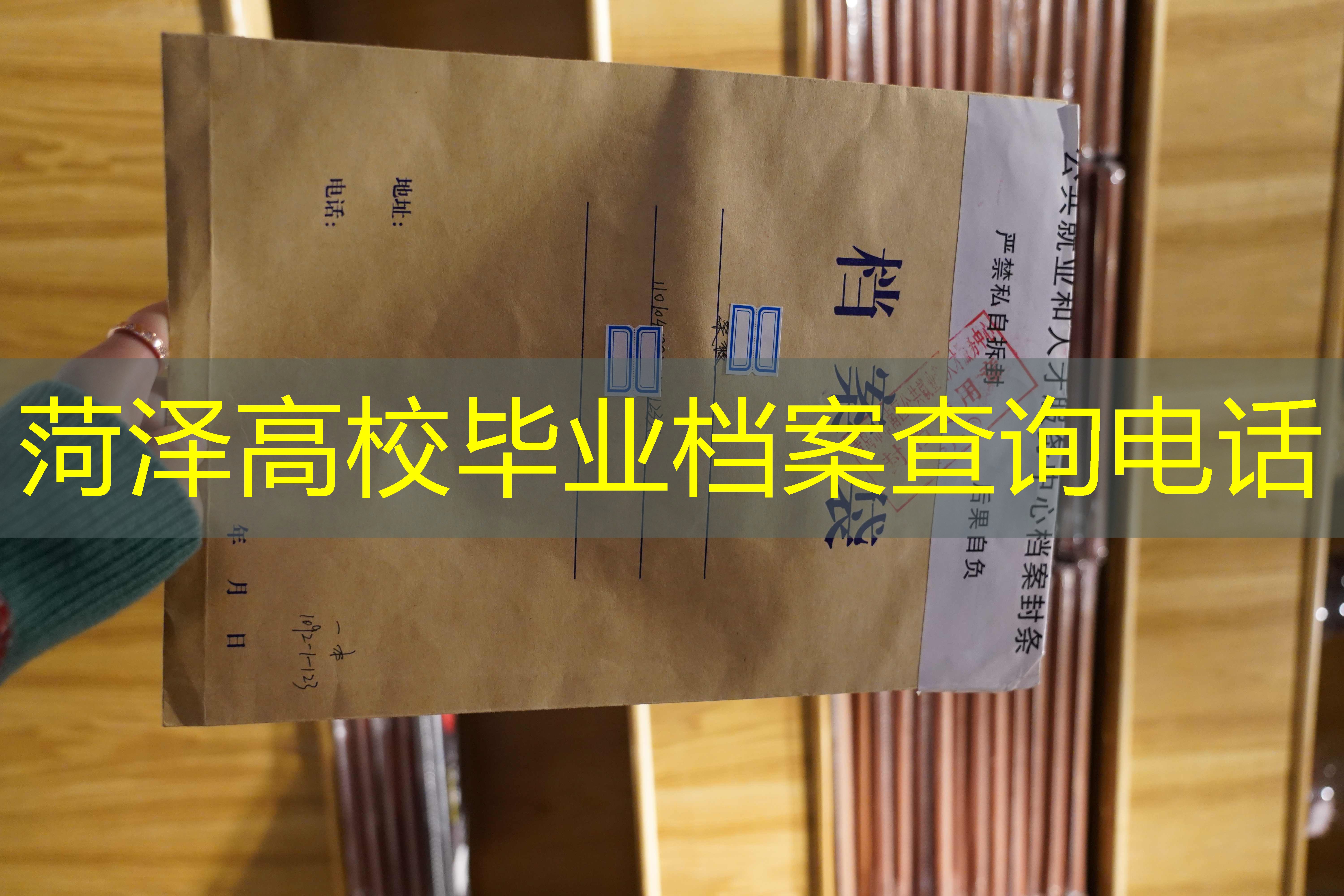 档案查询