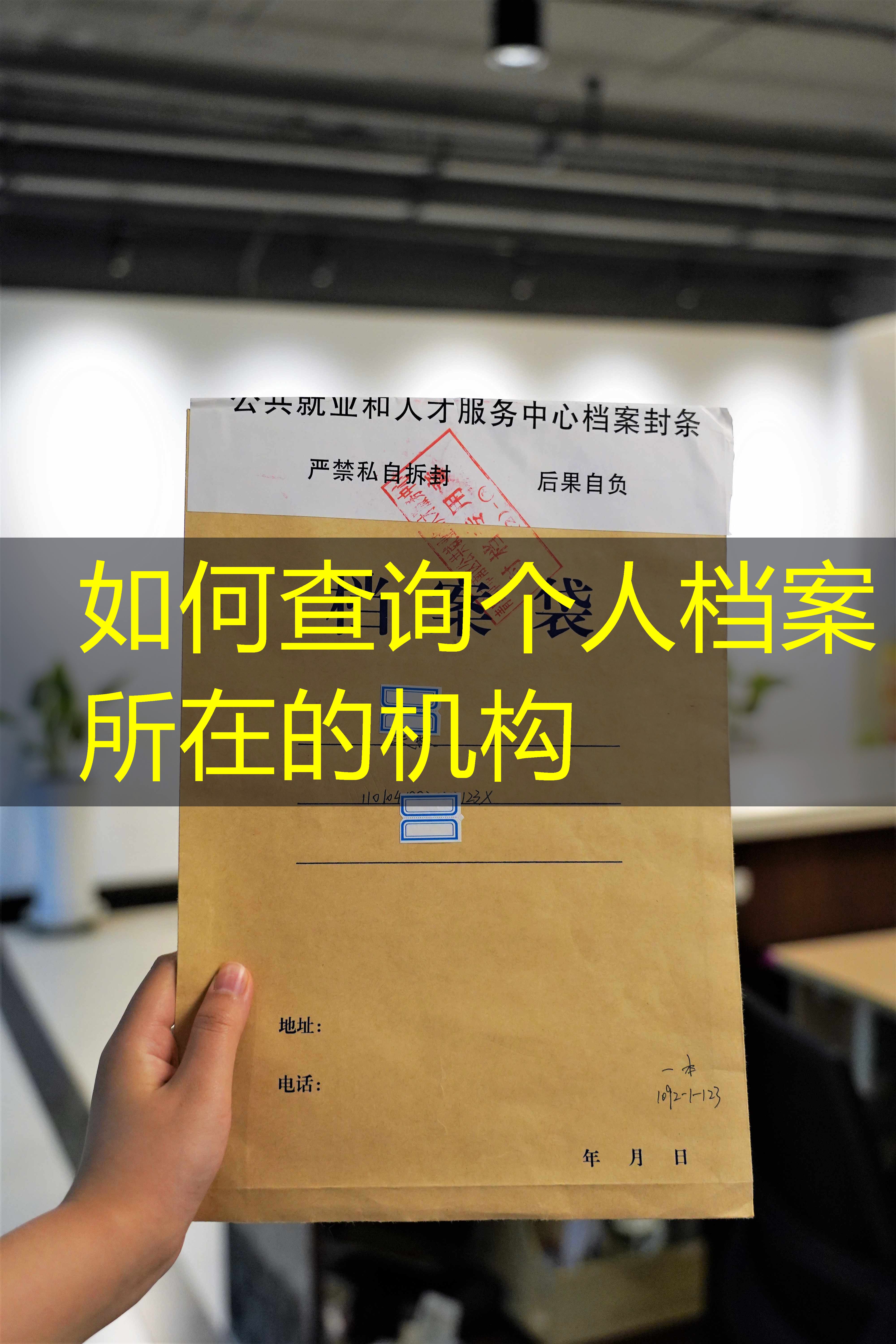 档案查询