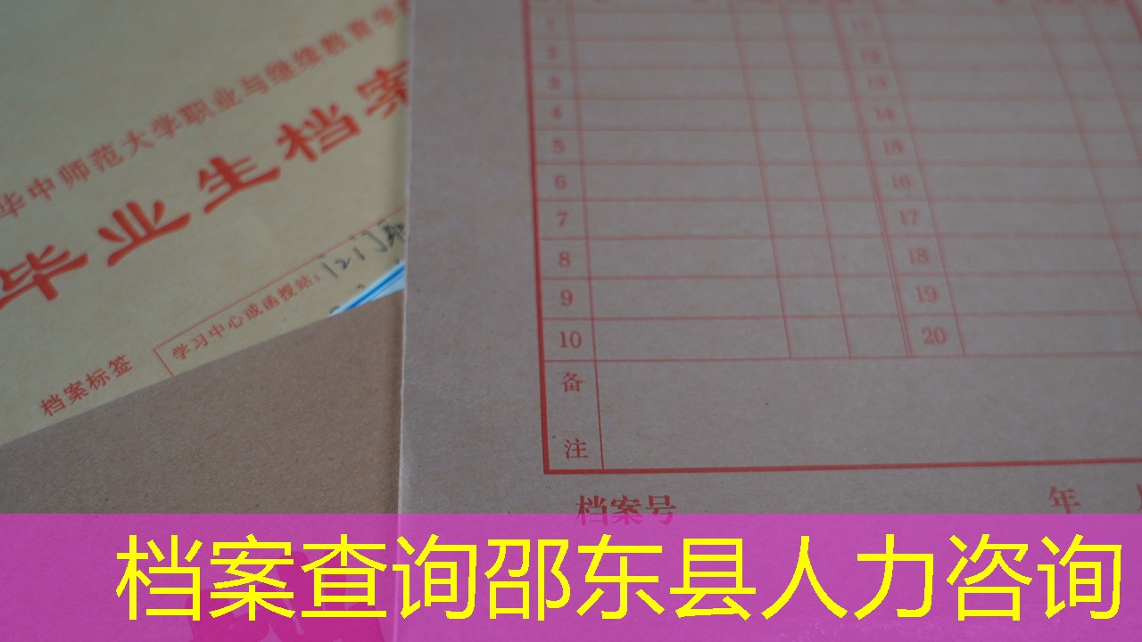 档案查询
