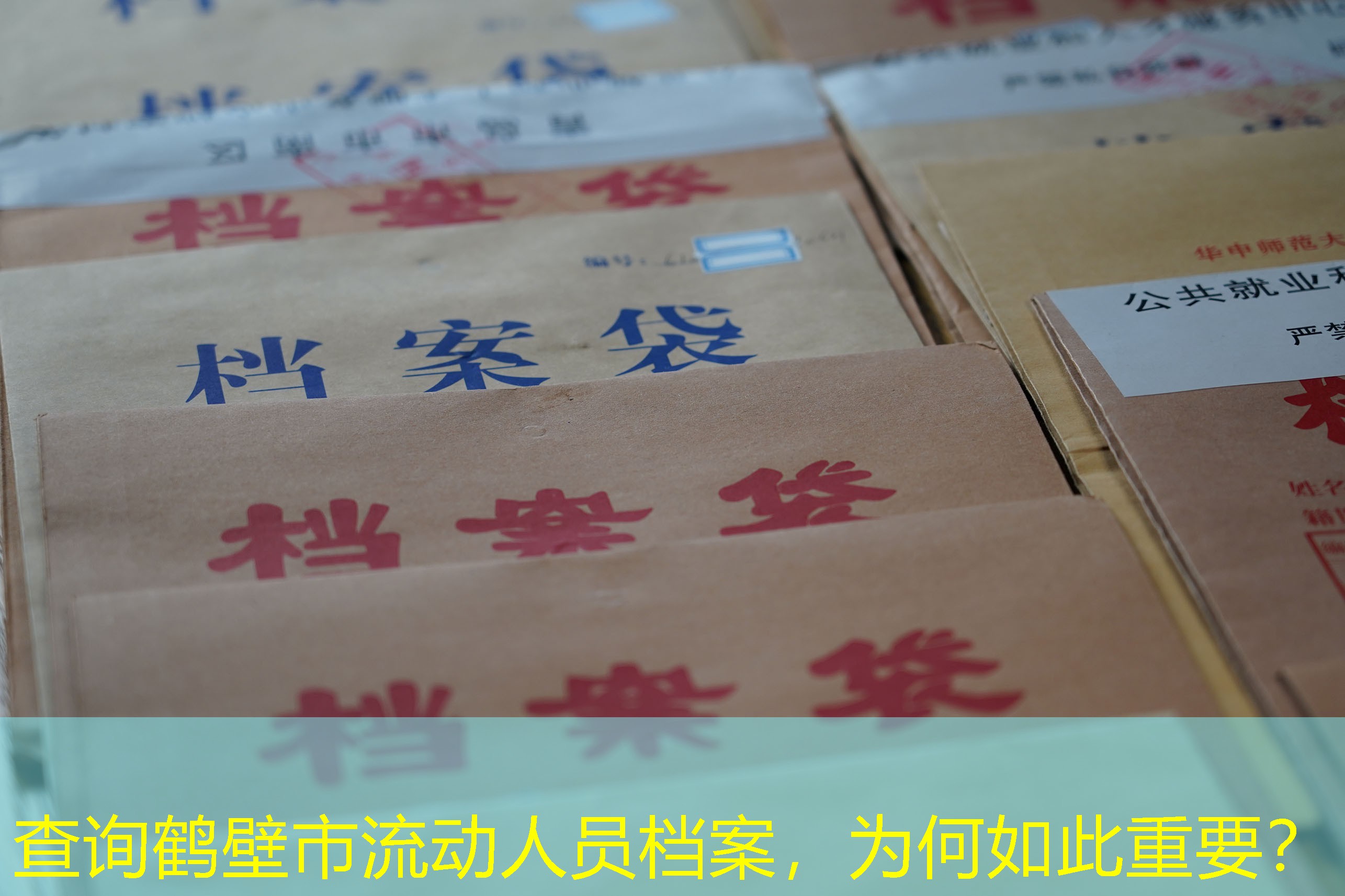 档案查询