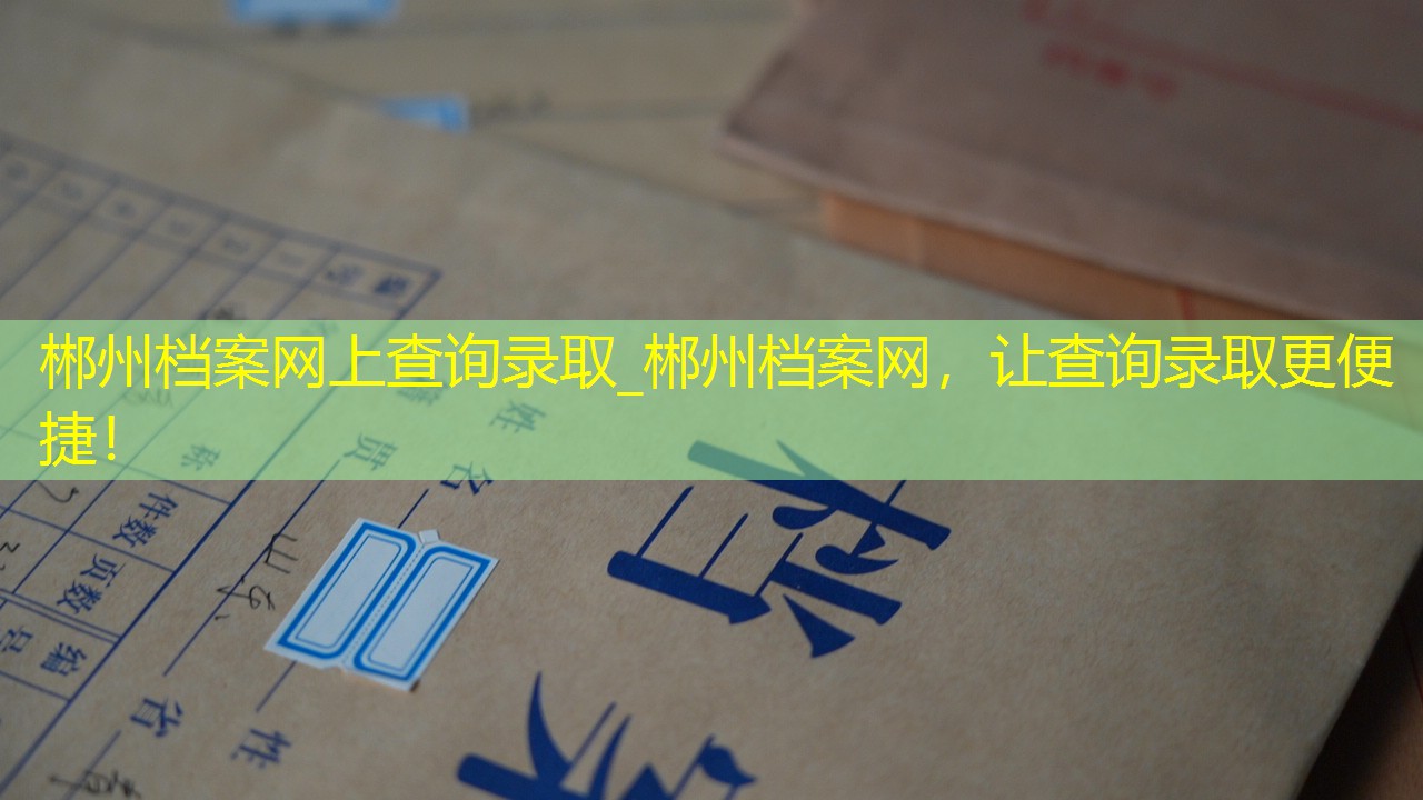 档案查询
