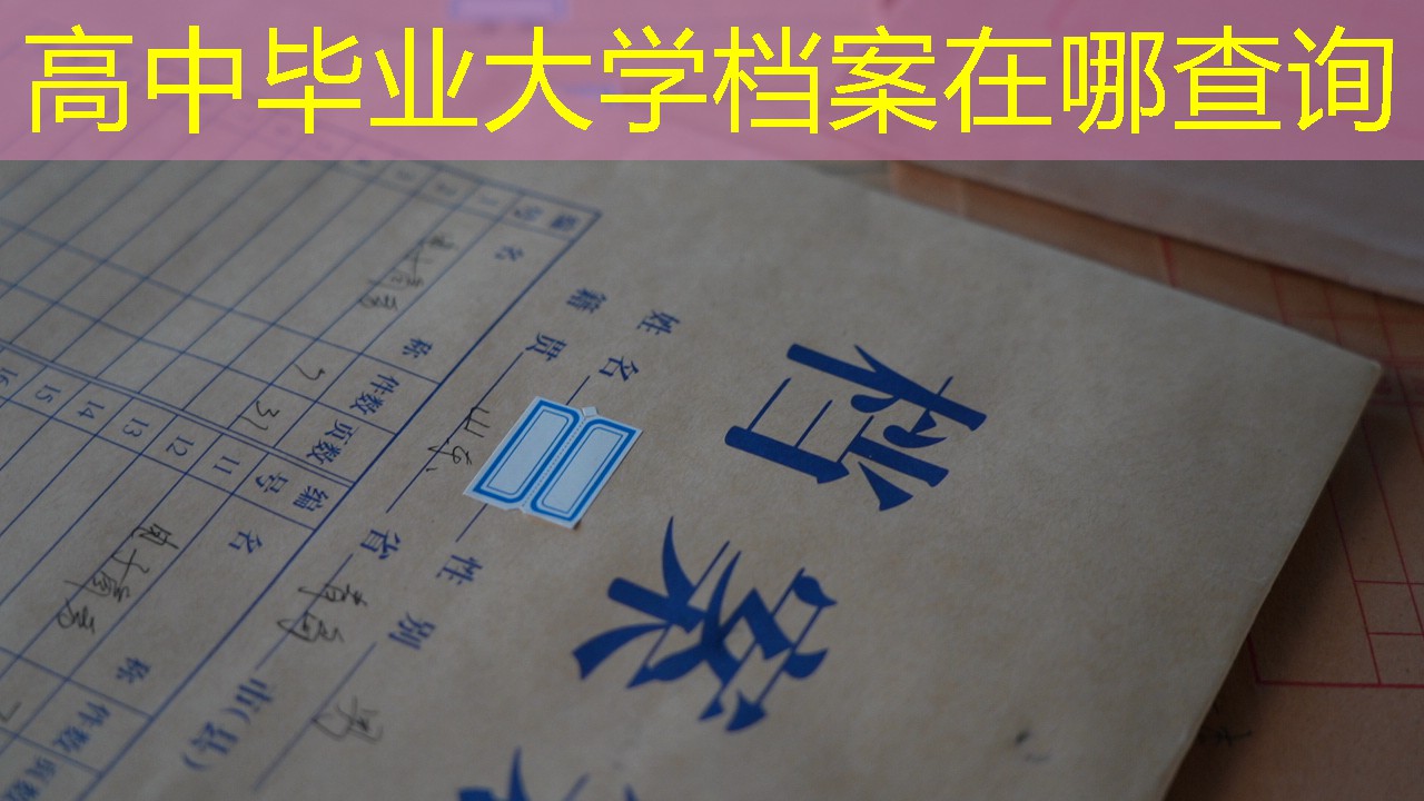档案查询