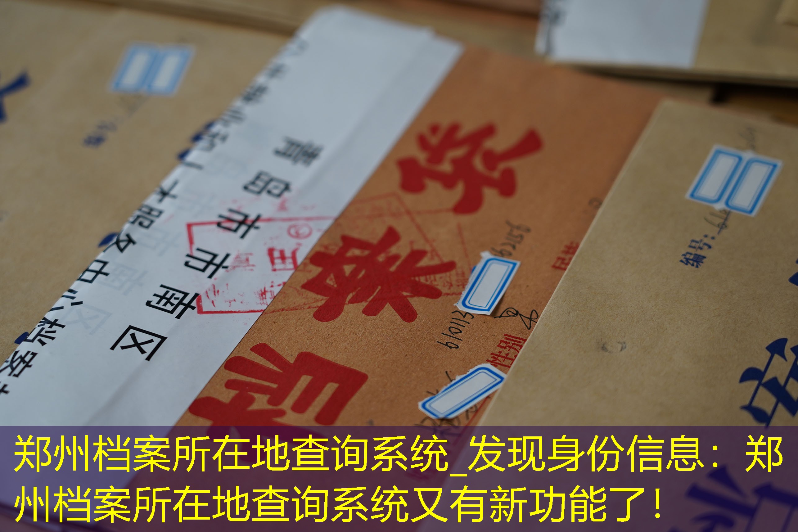 档案查询