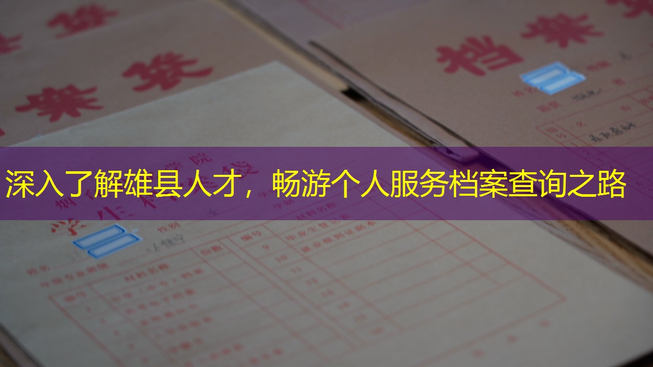 档案查询