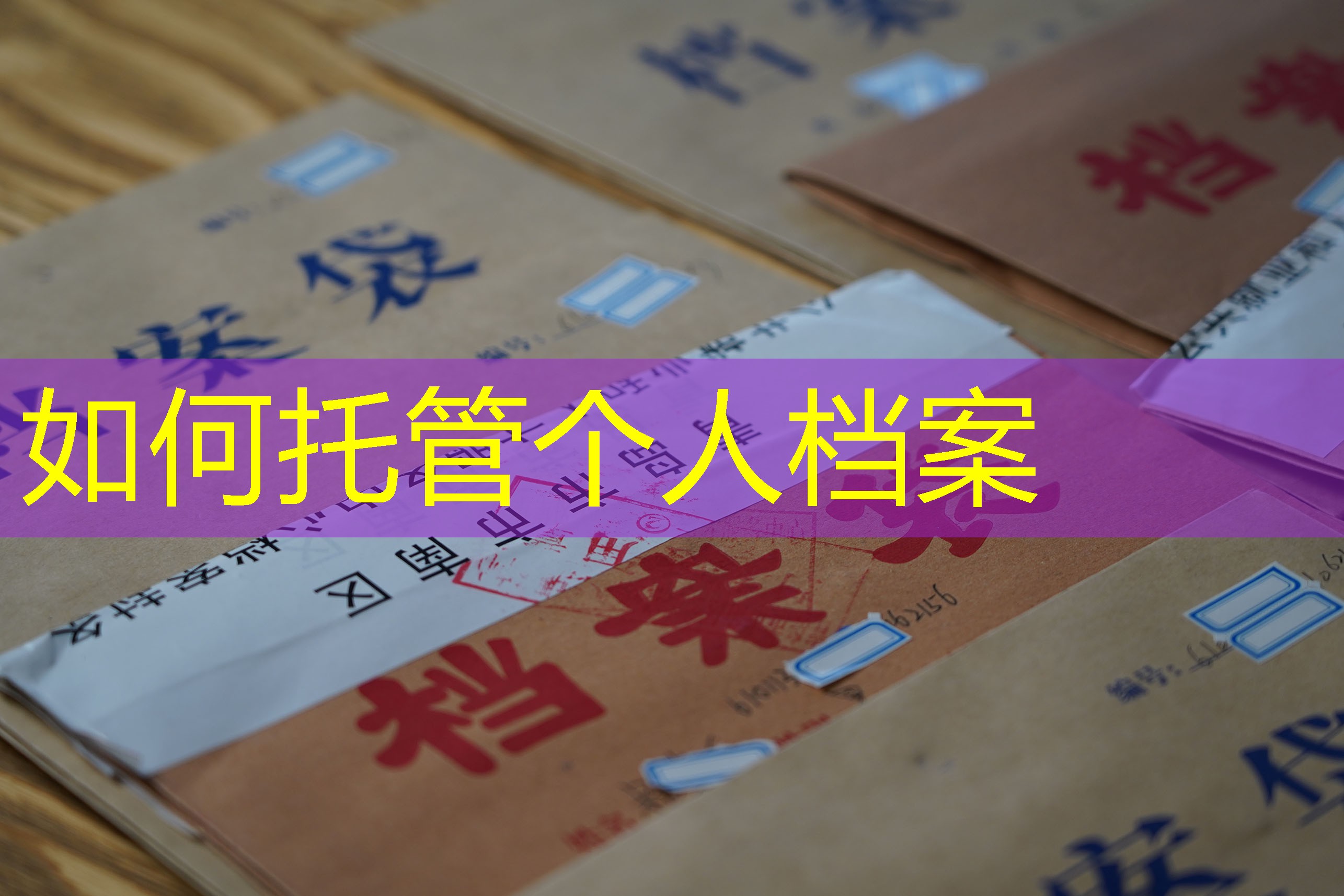 档案查询