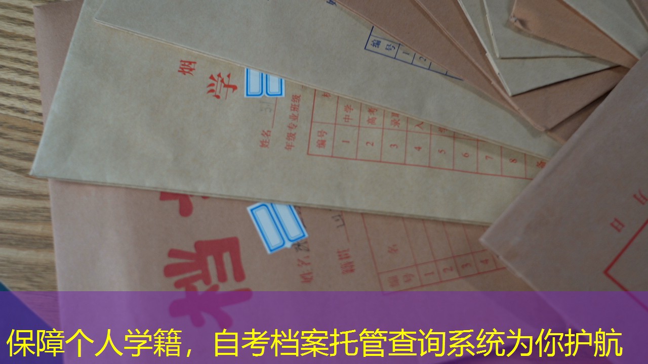 档案查询