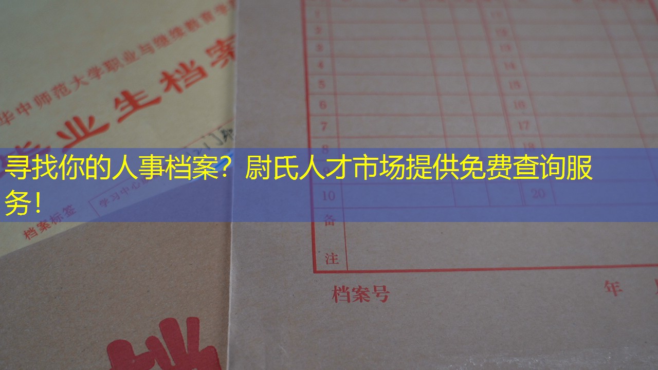 档案查询