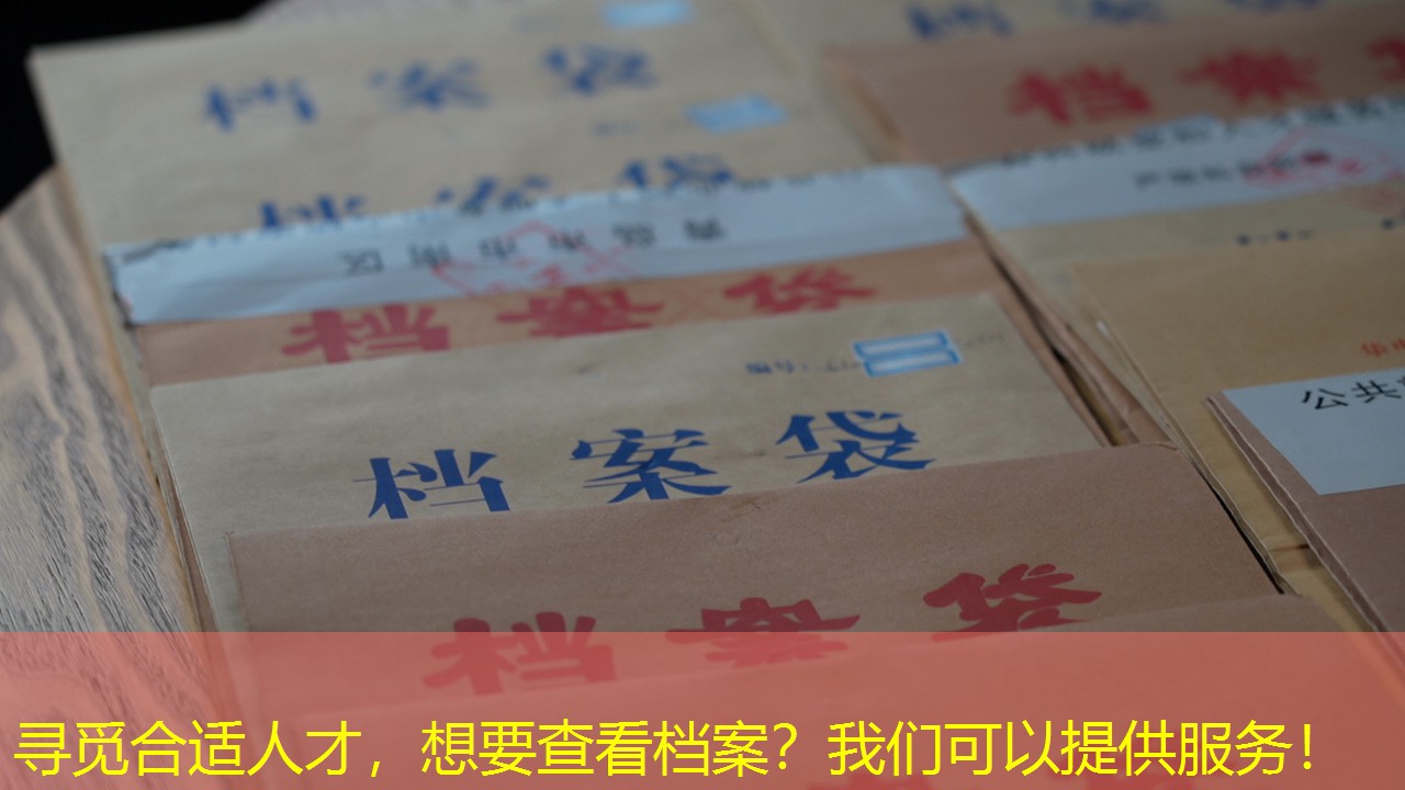 档案查询