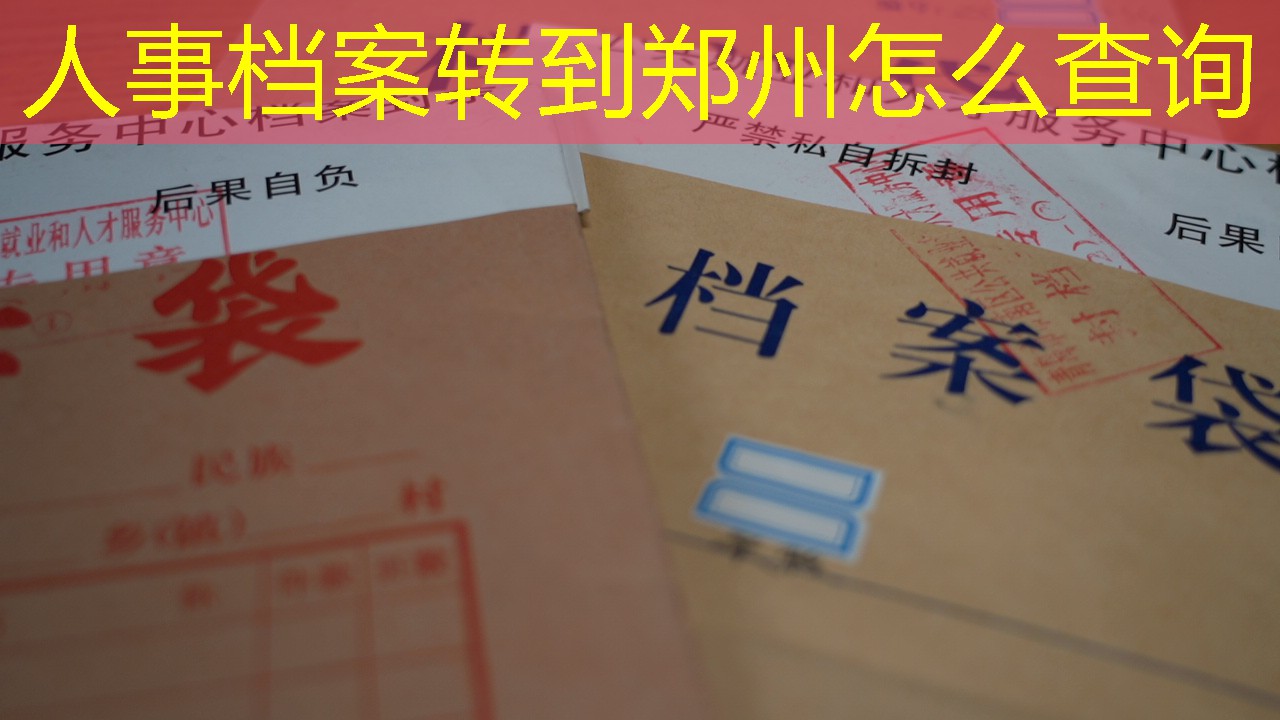档案查询