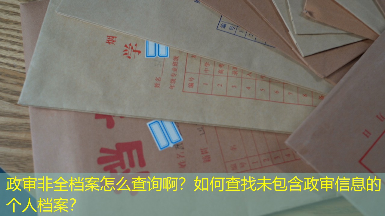 档案查询