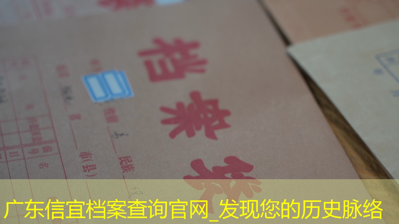 档案查询
