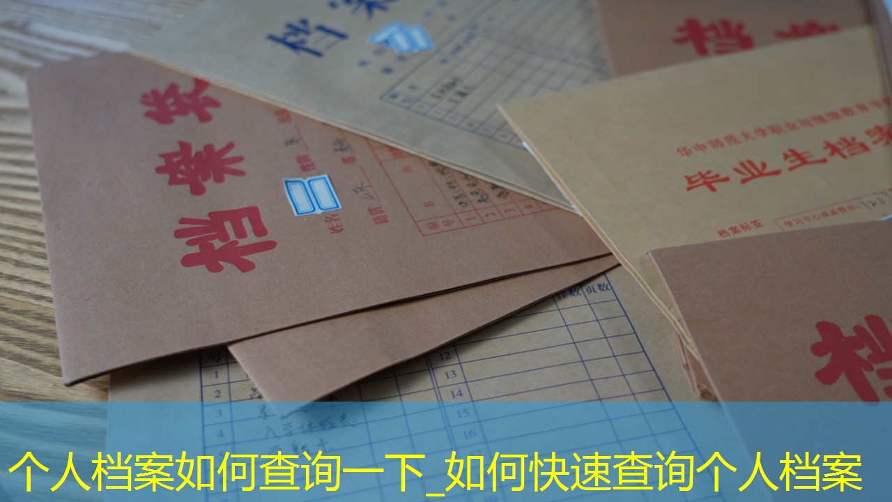 档案查询