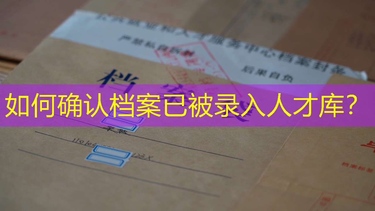 档案查询