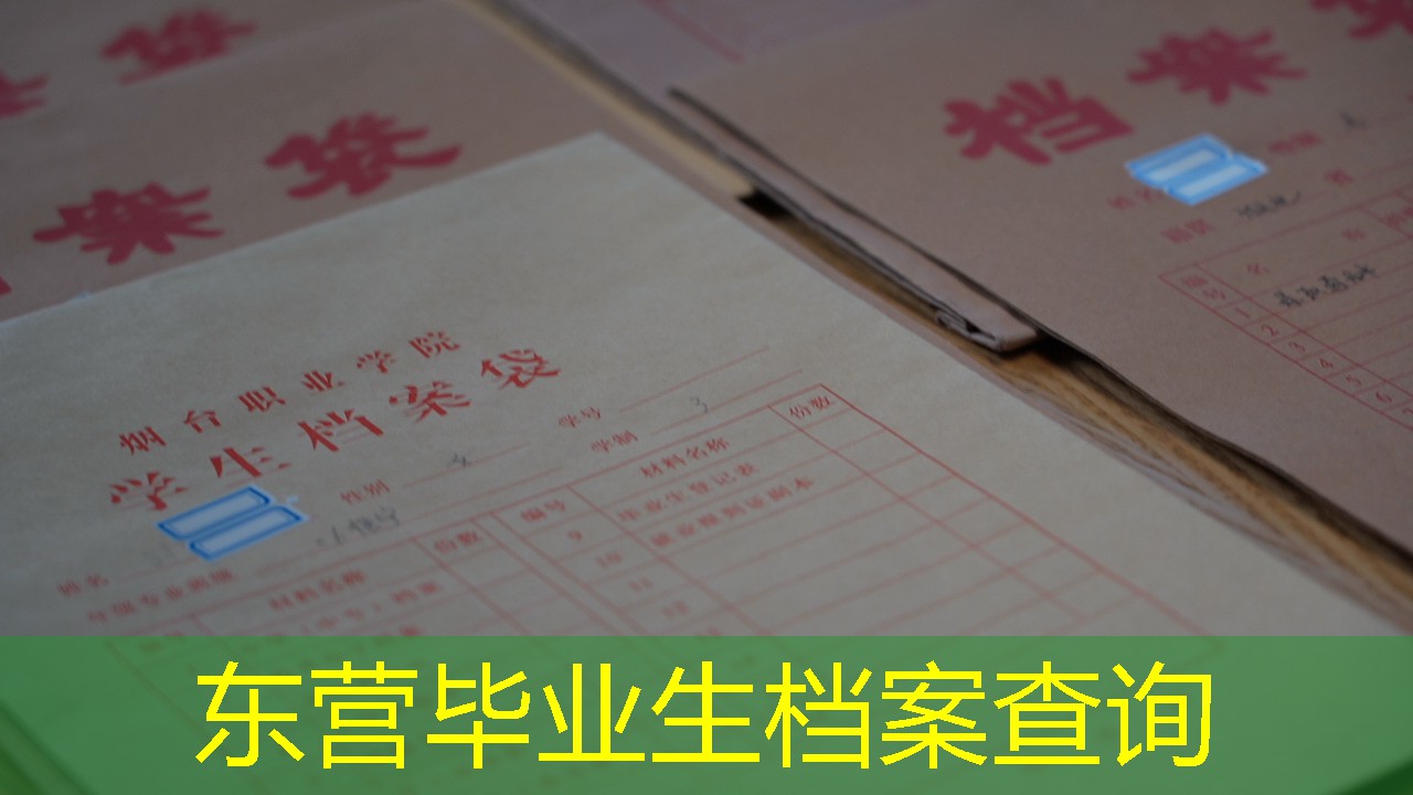 档案查询