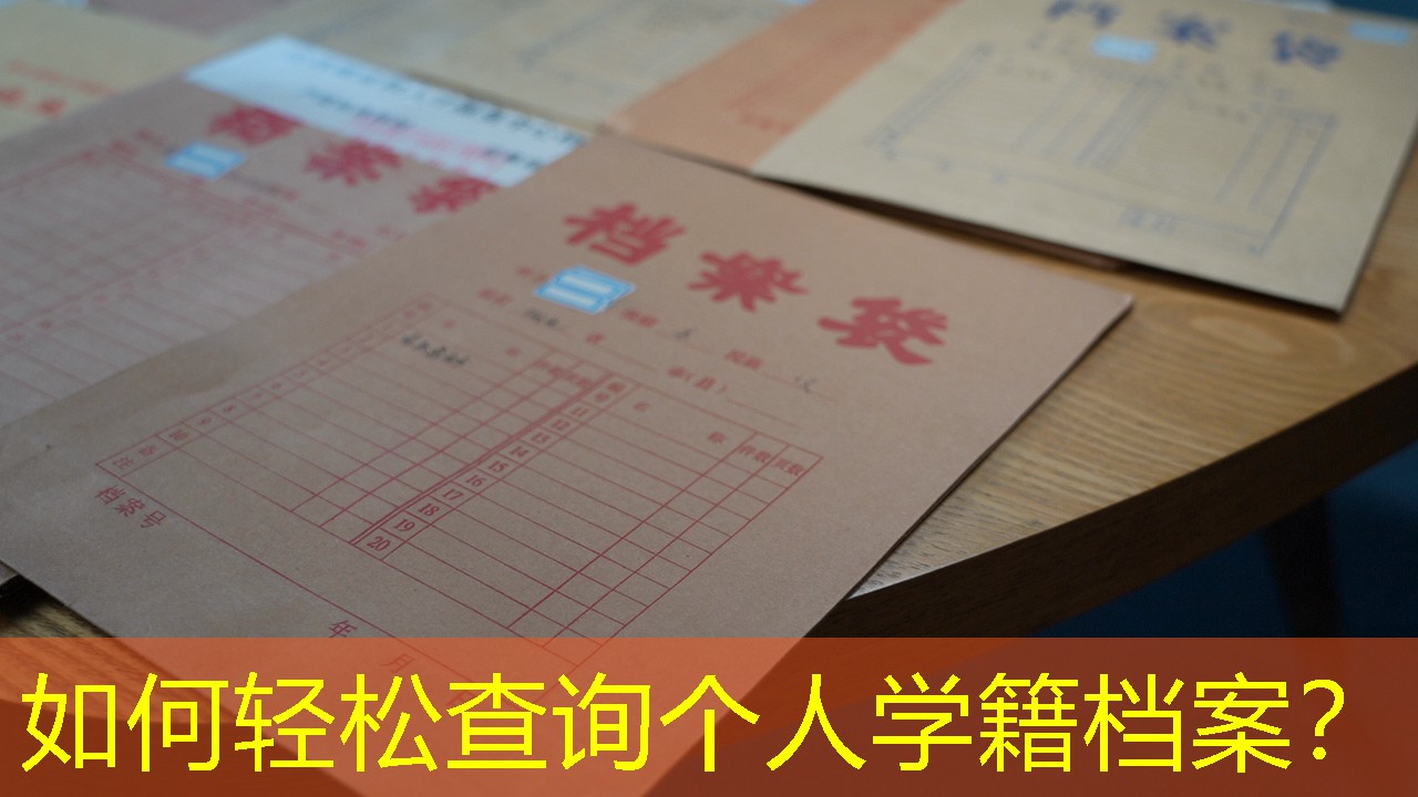 档案查询
