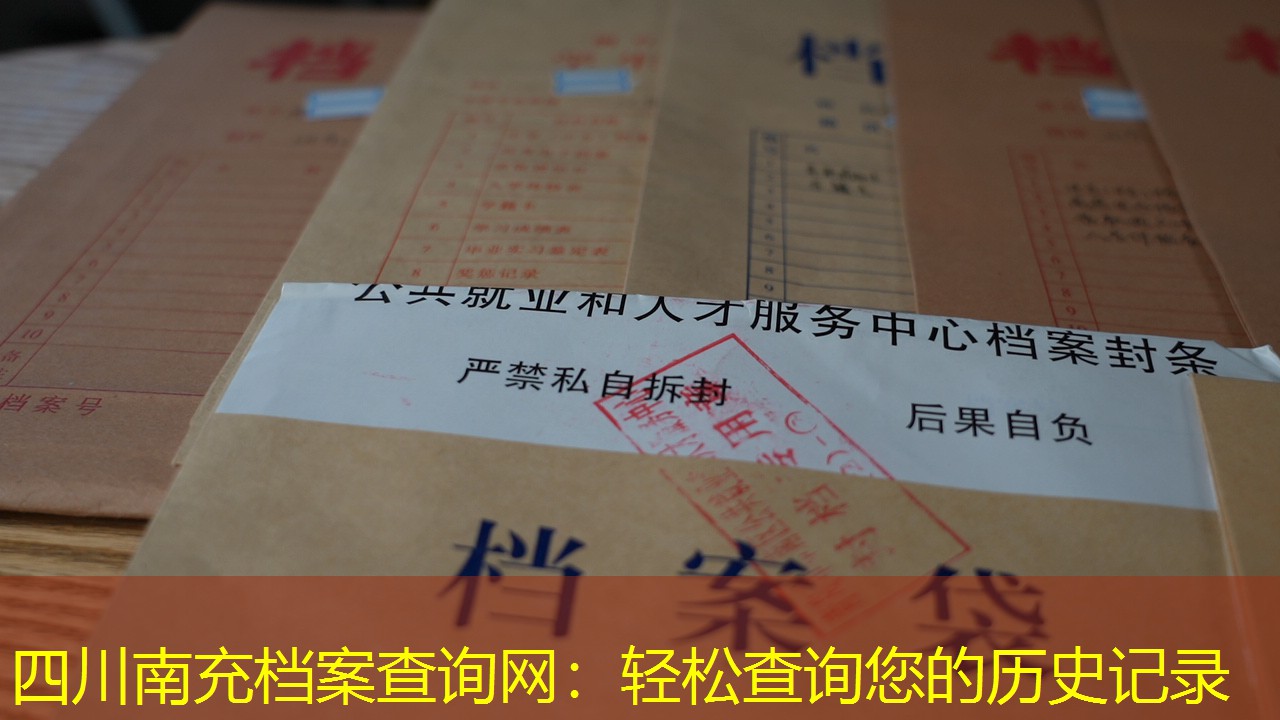 档案查询